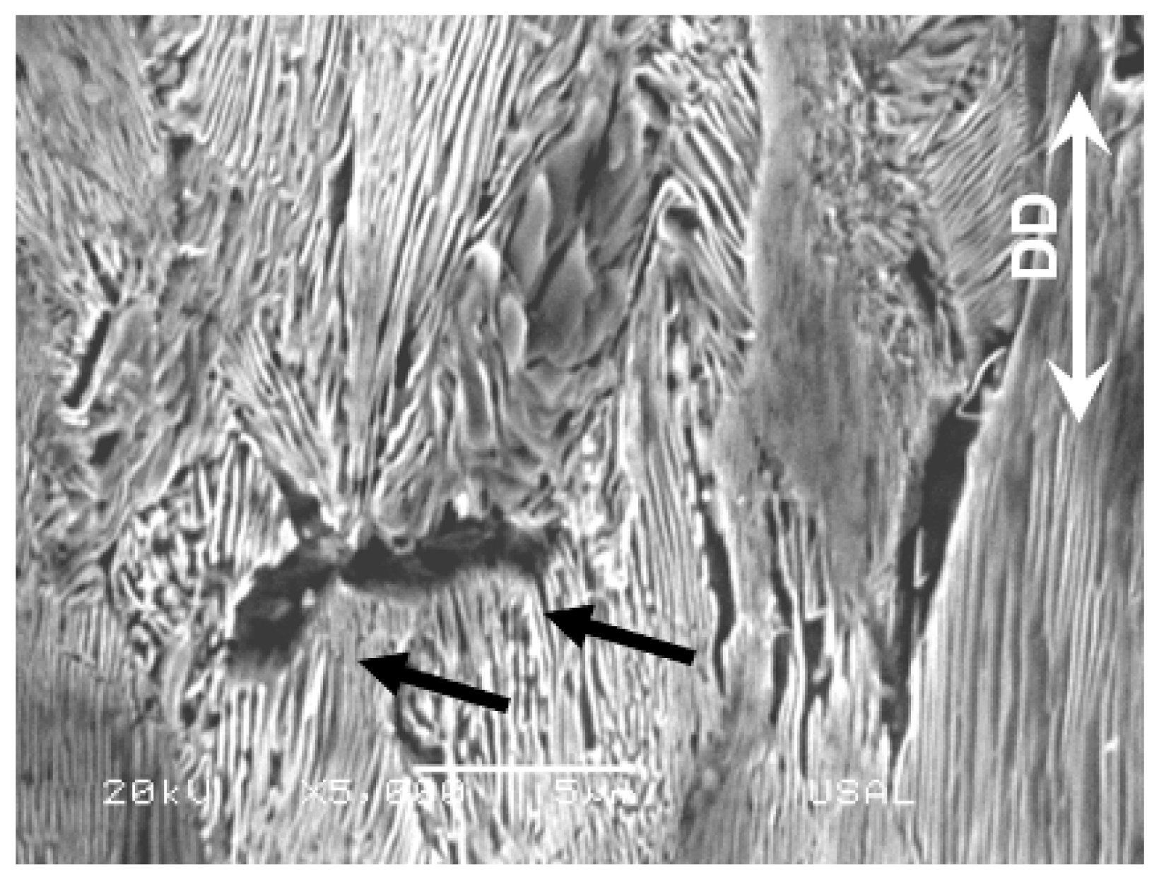 Materials 16 01822 g007 Materials 16 01822 g007