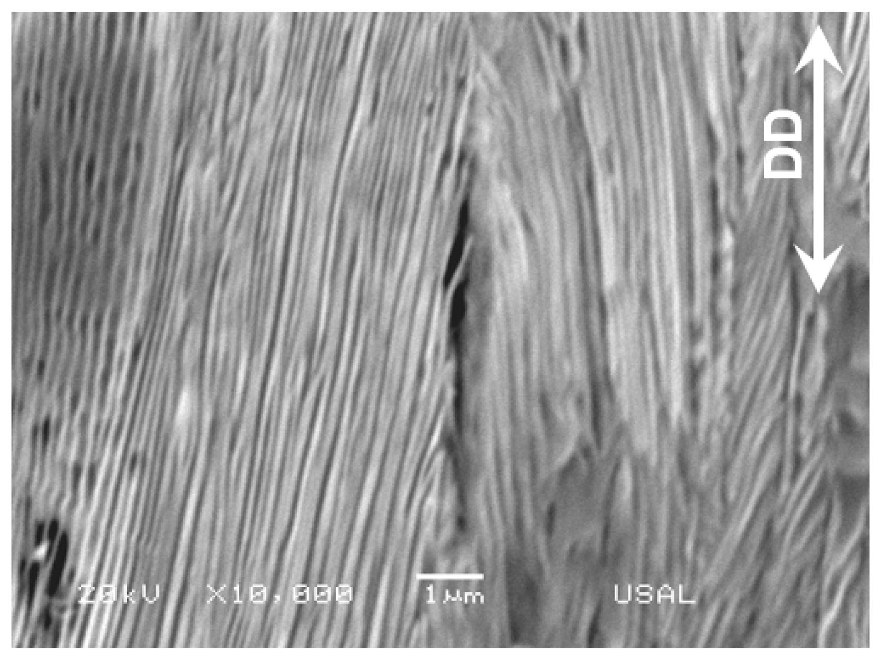 Materials 16 01822 g008 Materials 16 01822 g008