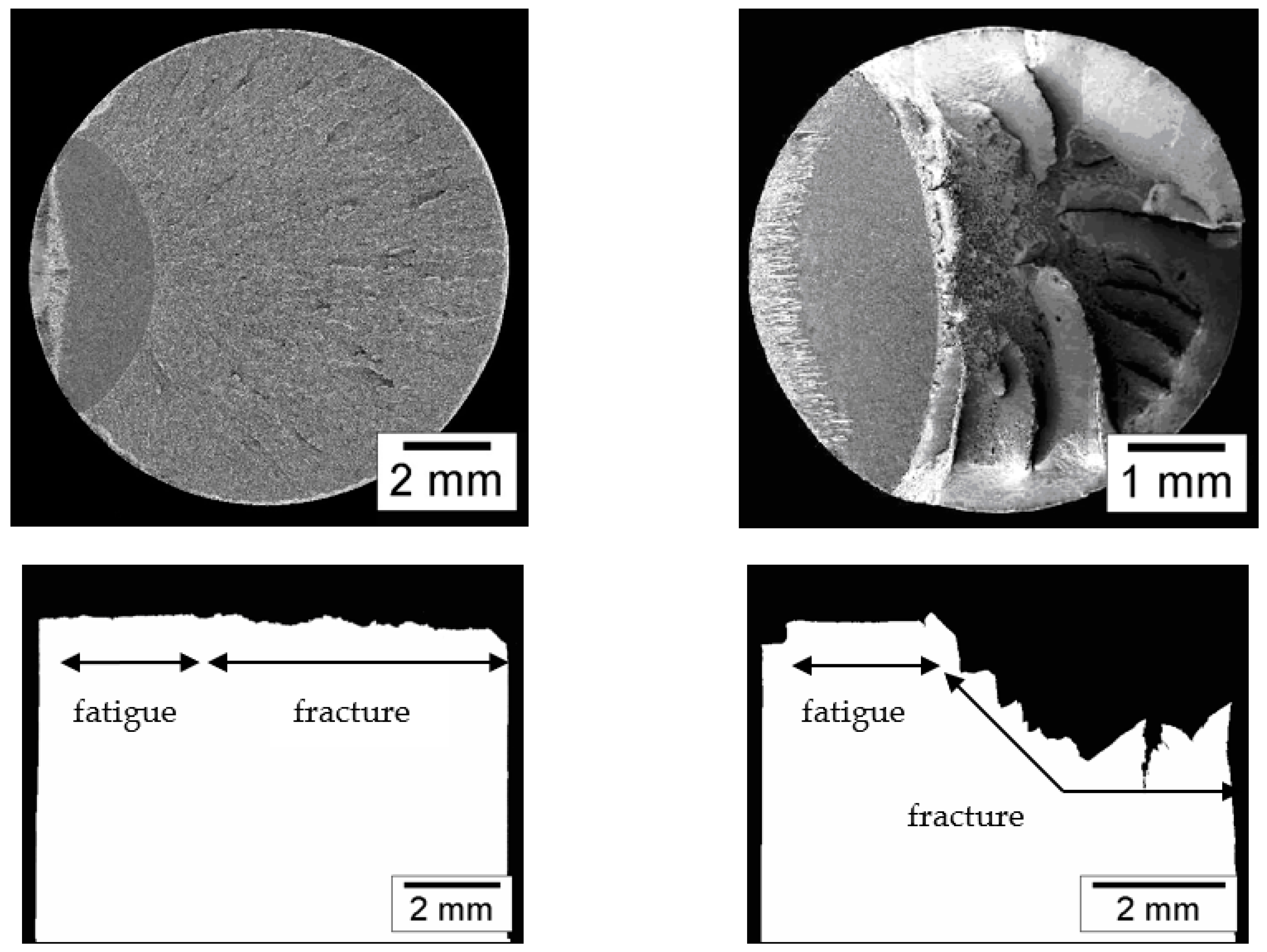 Materials 16 01822 g010 Materials 16 01822 g010