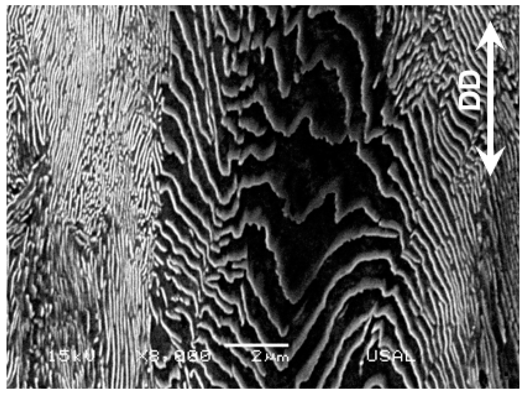 Materials 16 01822 g011 Materials 16 01822 g011