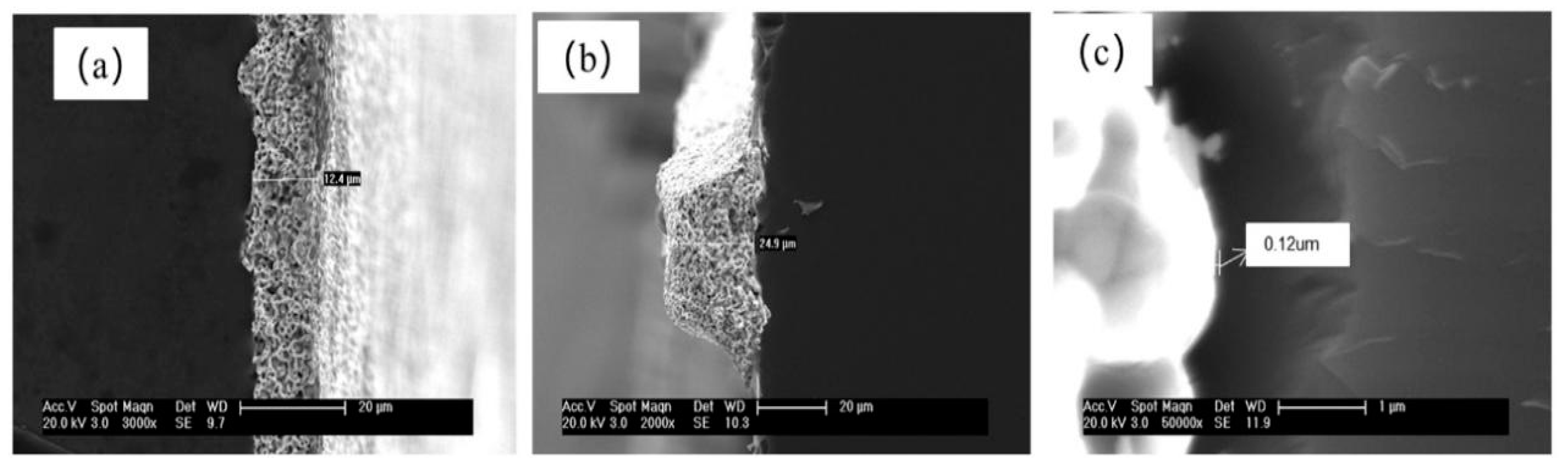 Materials 16 01824 g005