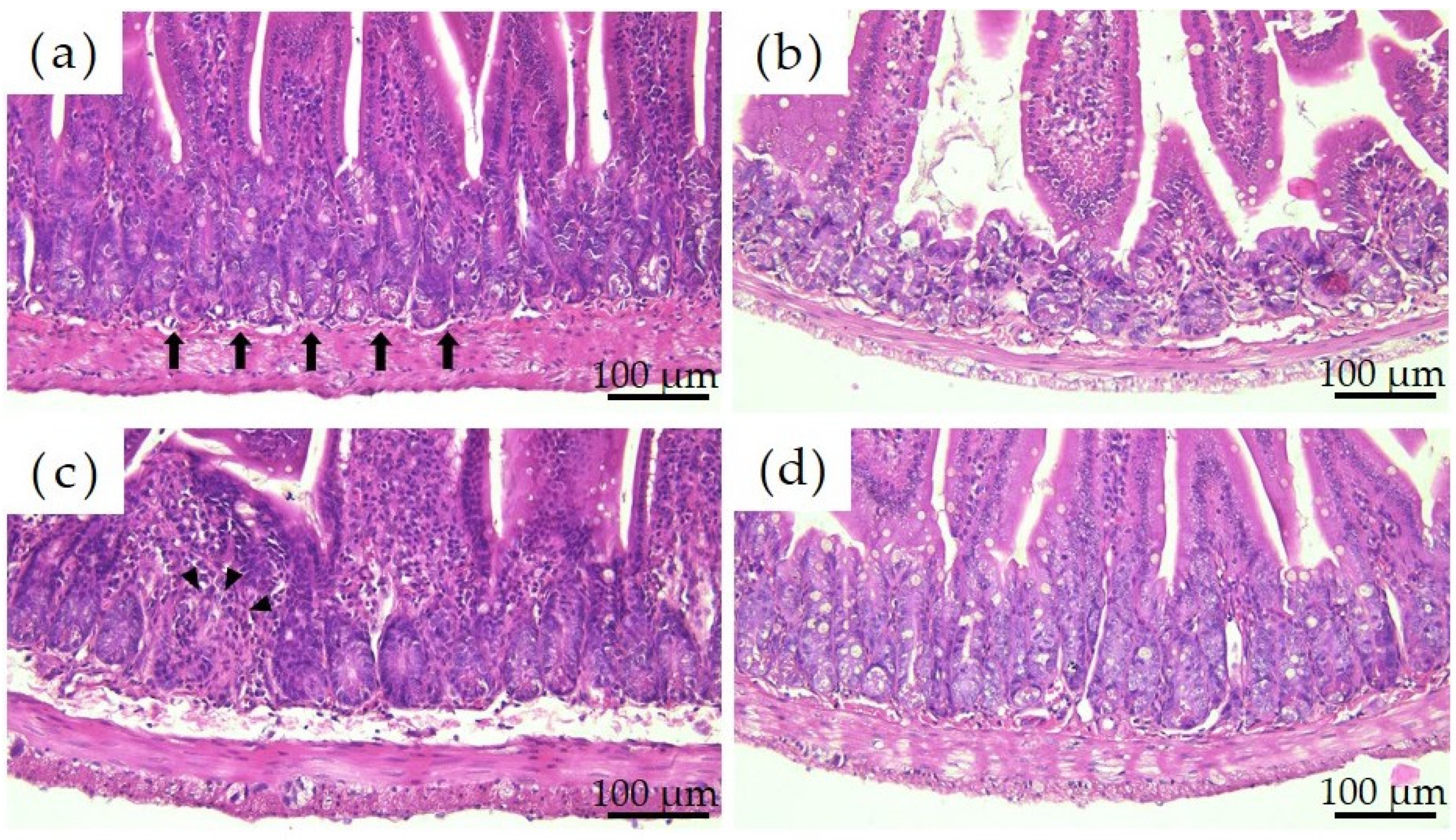 Materials 16 01834 g003 Materials 16 01834 g003