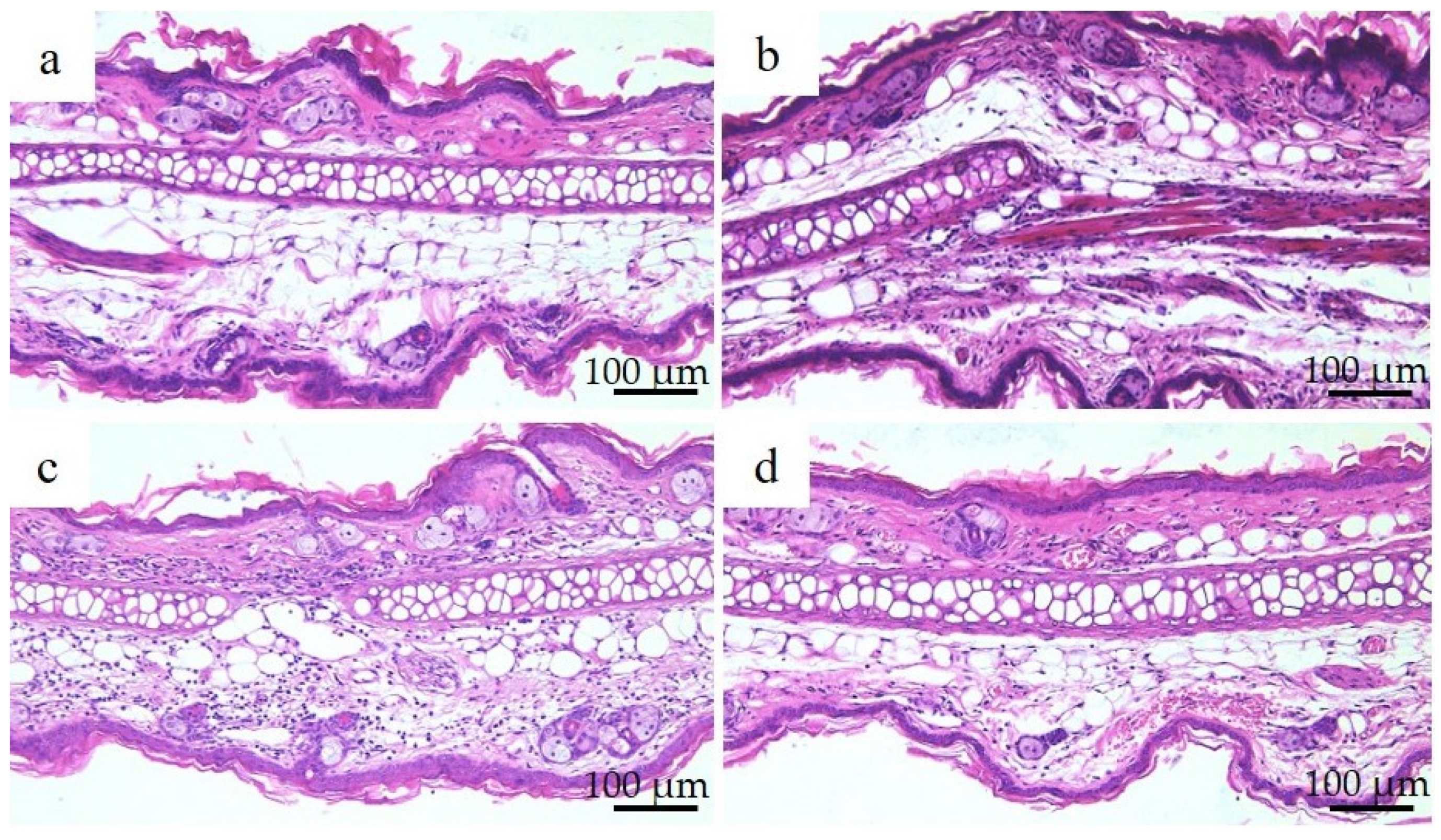Materials 16 01834 g008 Materials 16 01834 g008