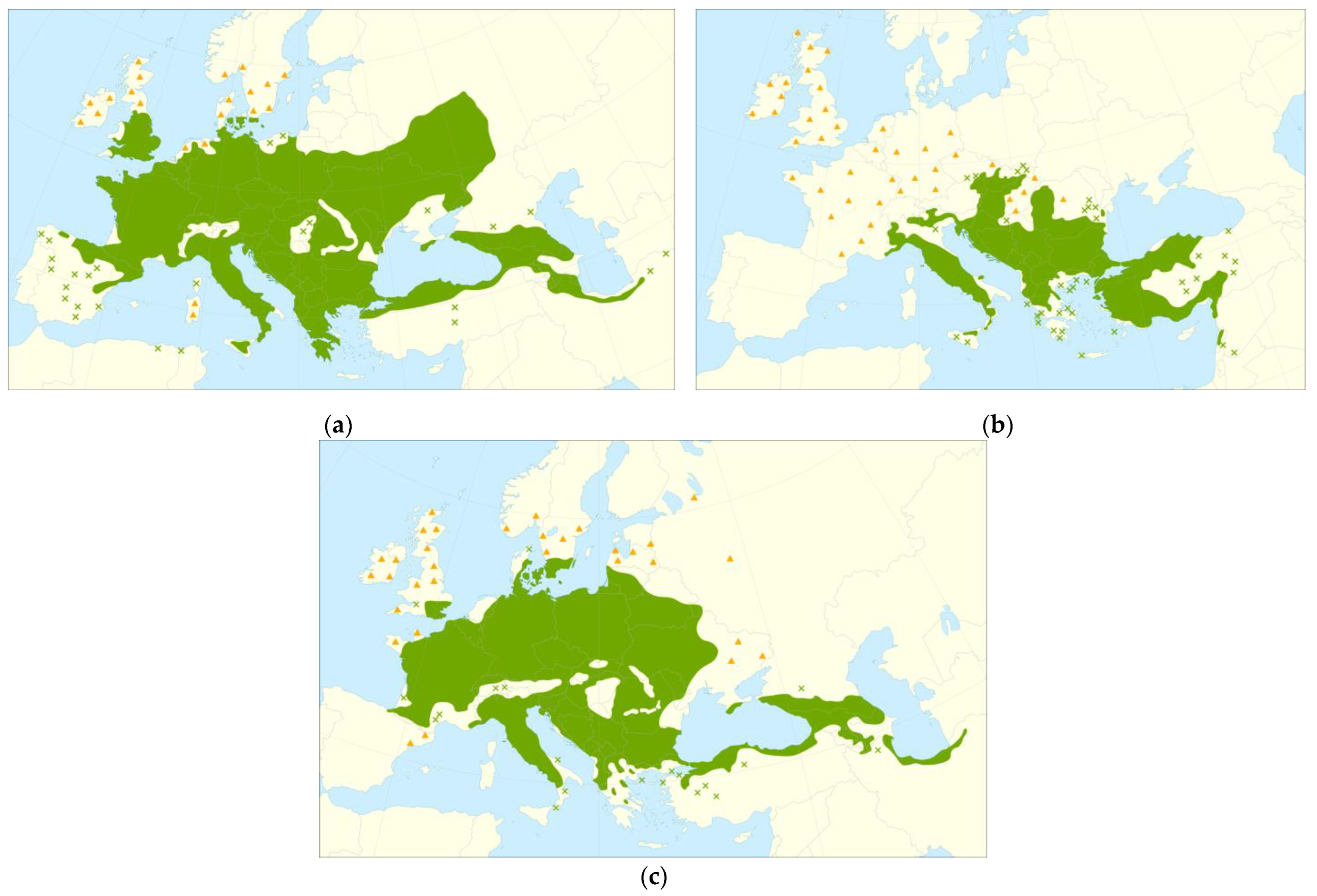 Materials 16 01843 g001 Materials 16 01843 g001