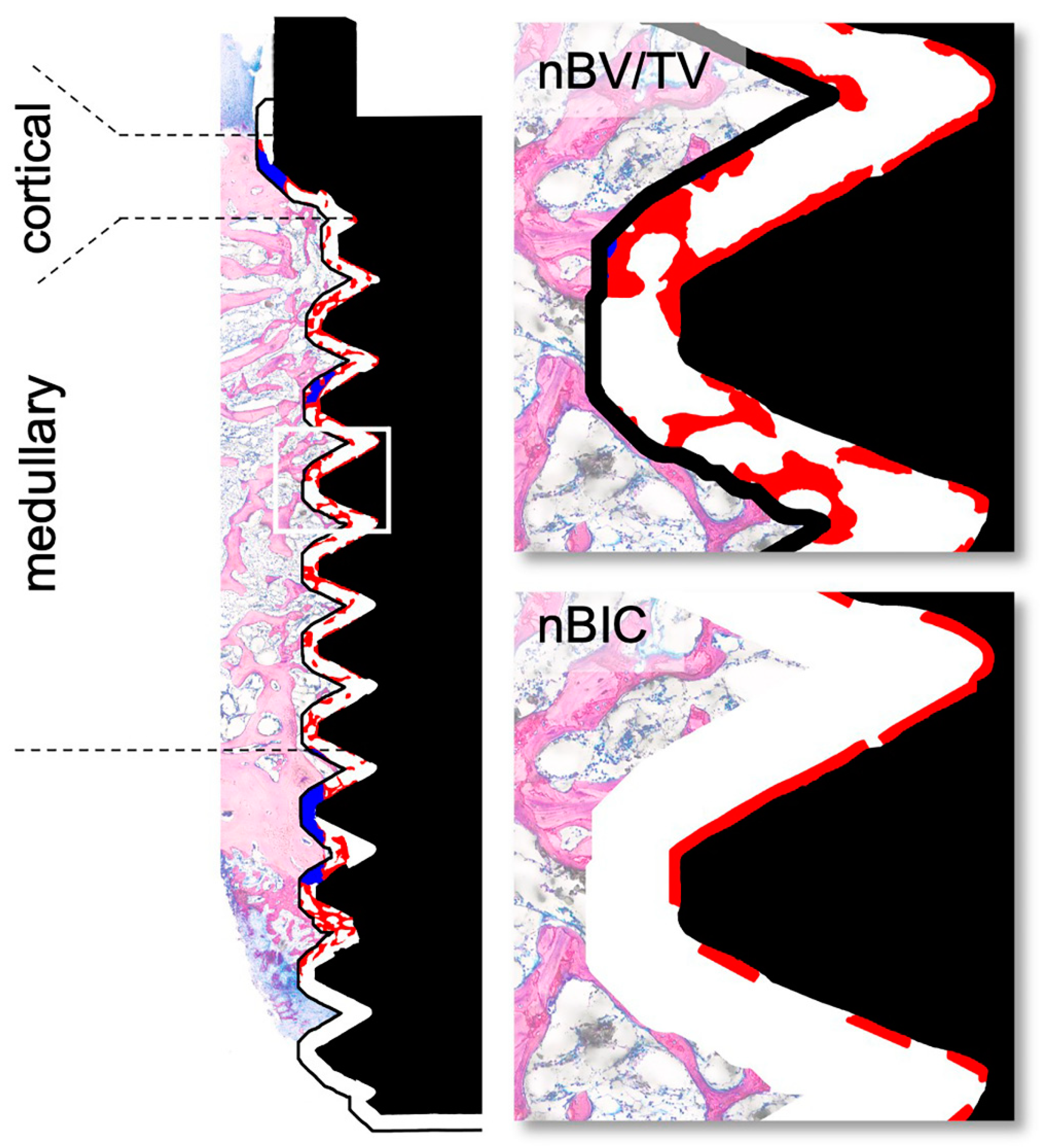 Materials 16 01846 g002