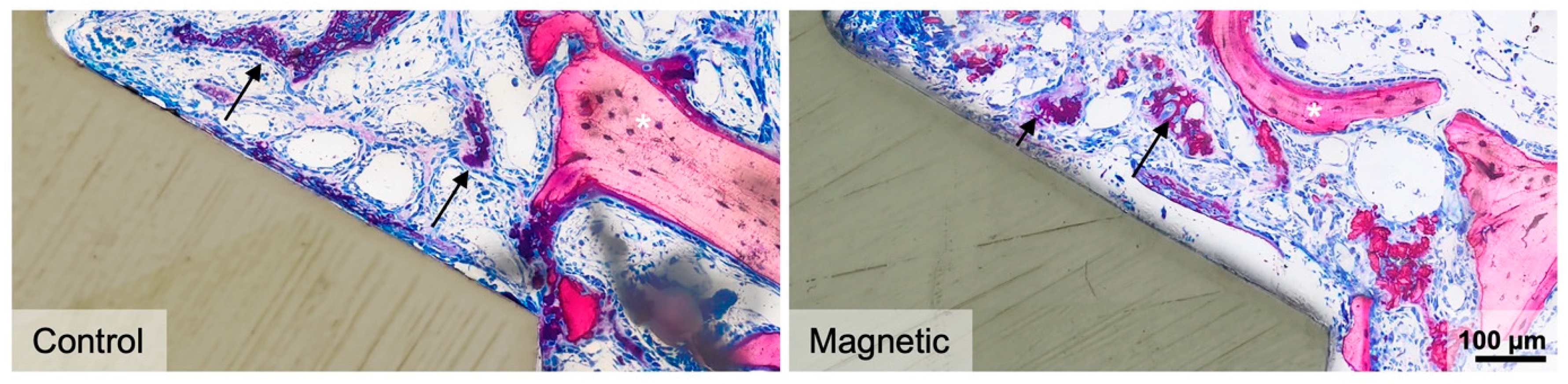 Materials 16 01846 g003