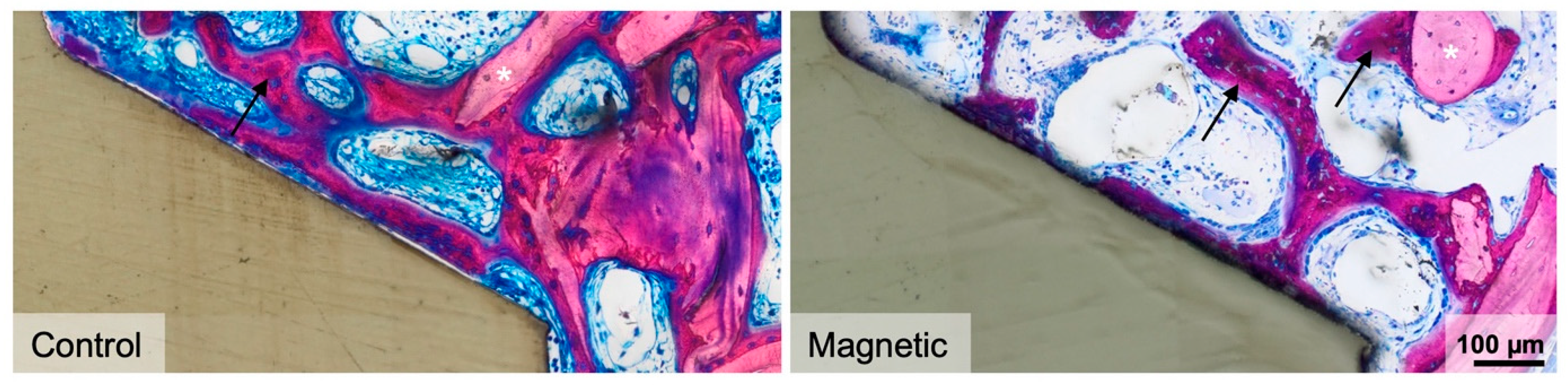 Materials 16 01846 g005