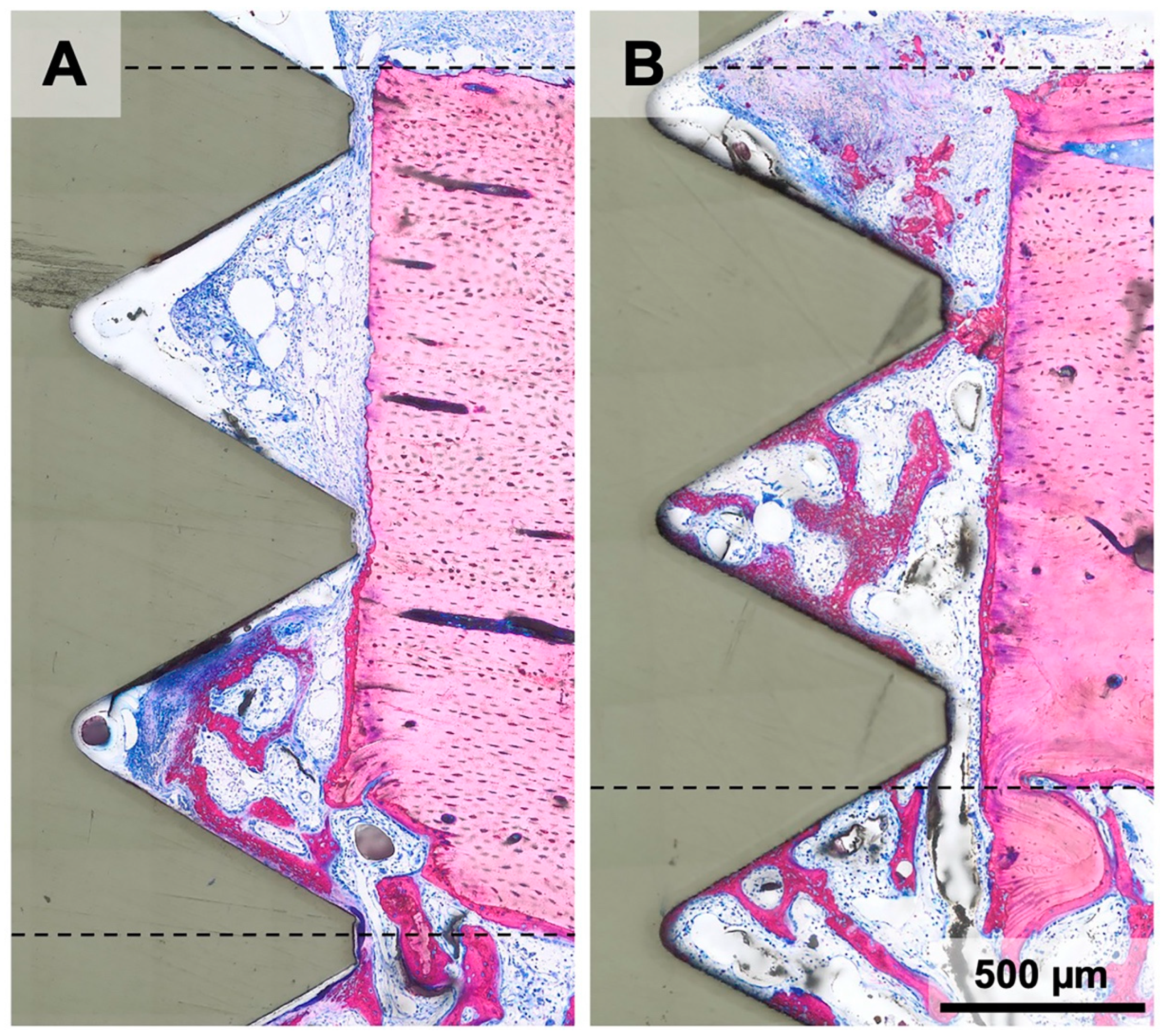 Materials 16 01846 g006