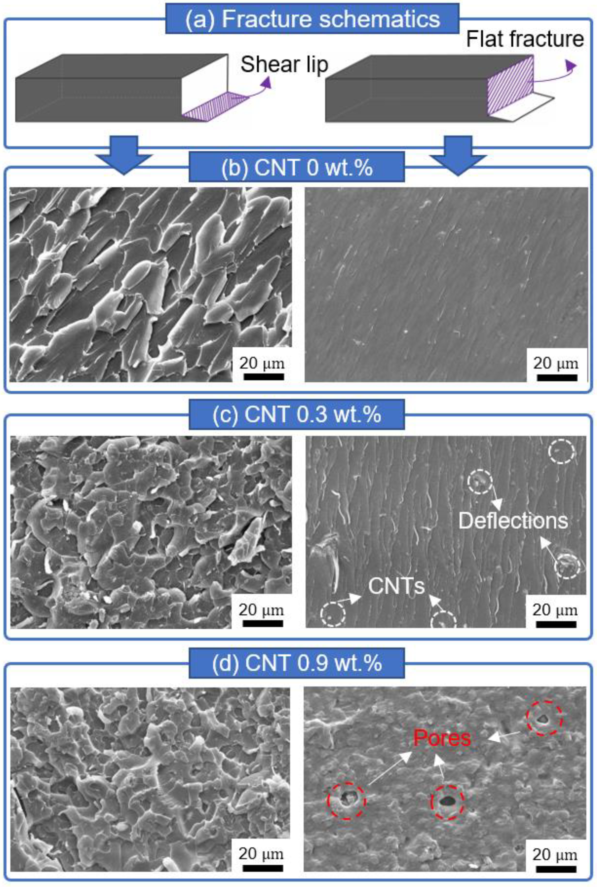 Materials 16 01873 g007