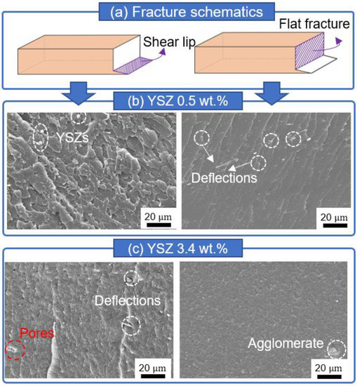 Materials Free FullText 3D Printing of CNT and YSZAdded Dental