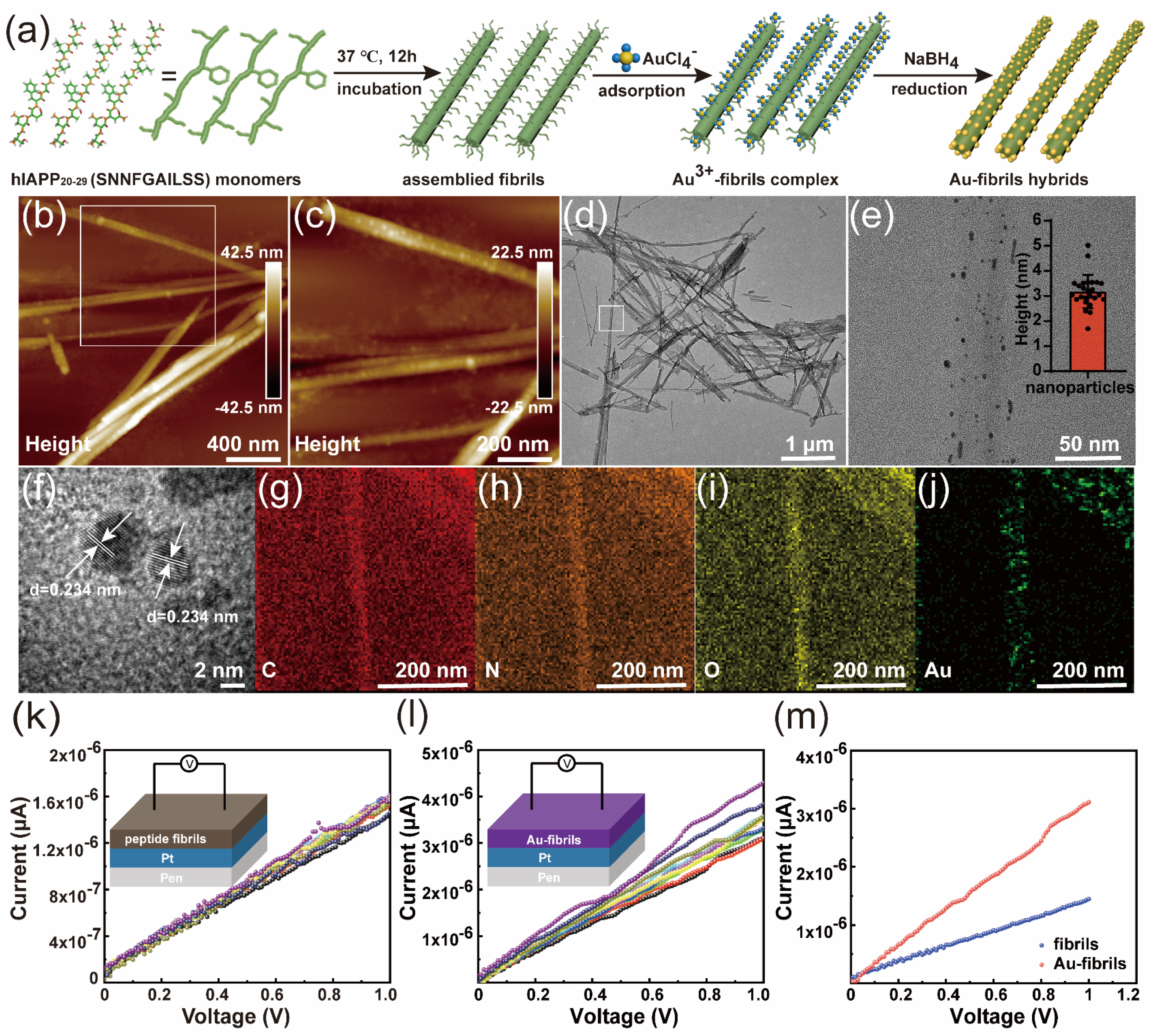Materials 16 01884 g001