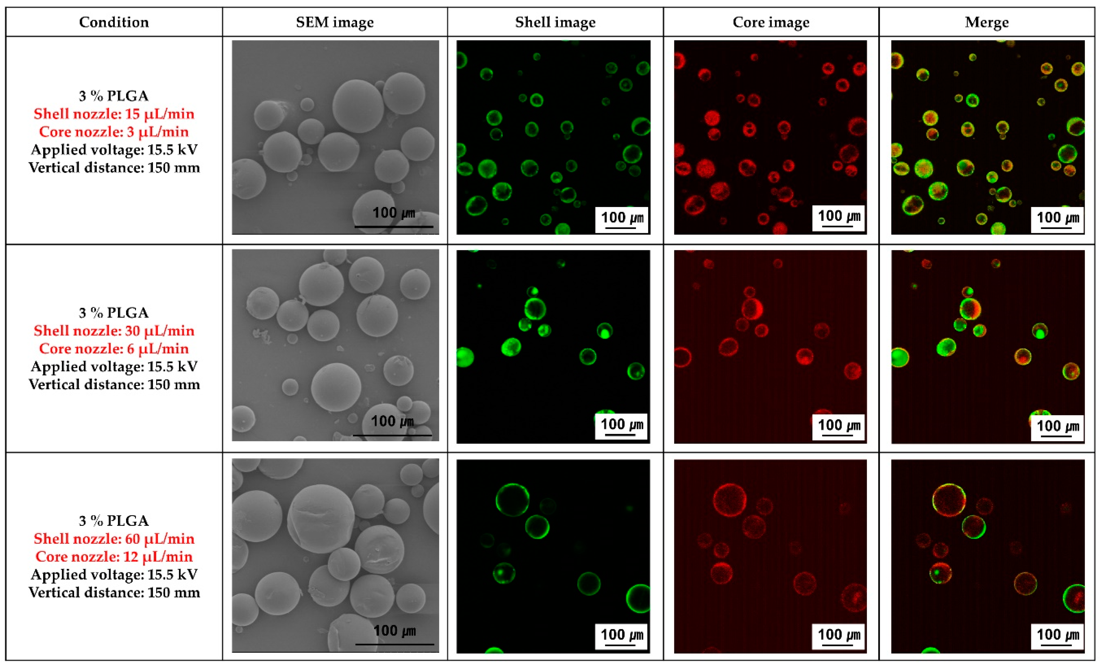 Materials 16 01885 g002
