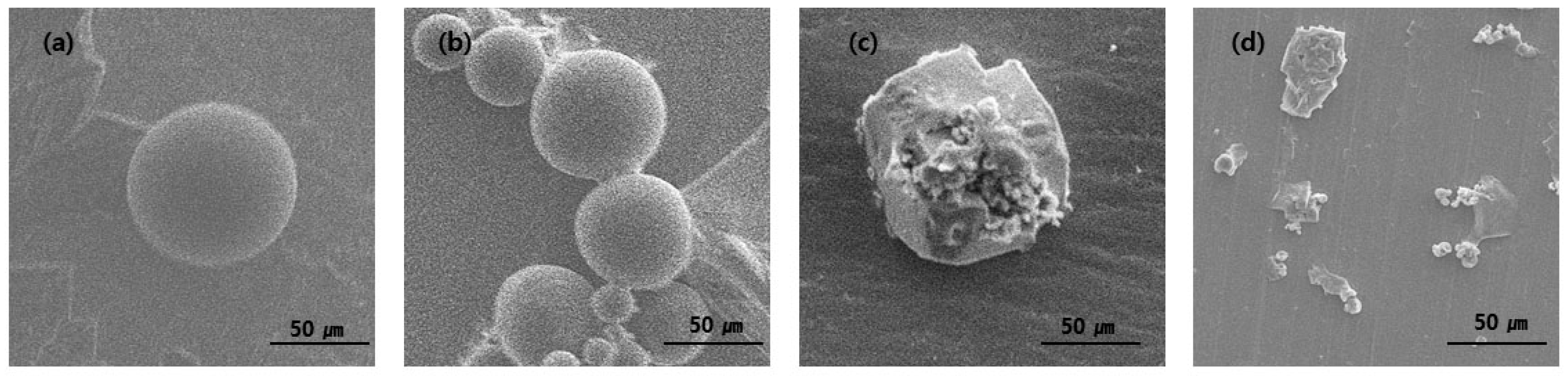 Materials 16 01885 g006