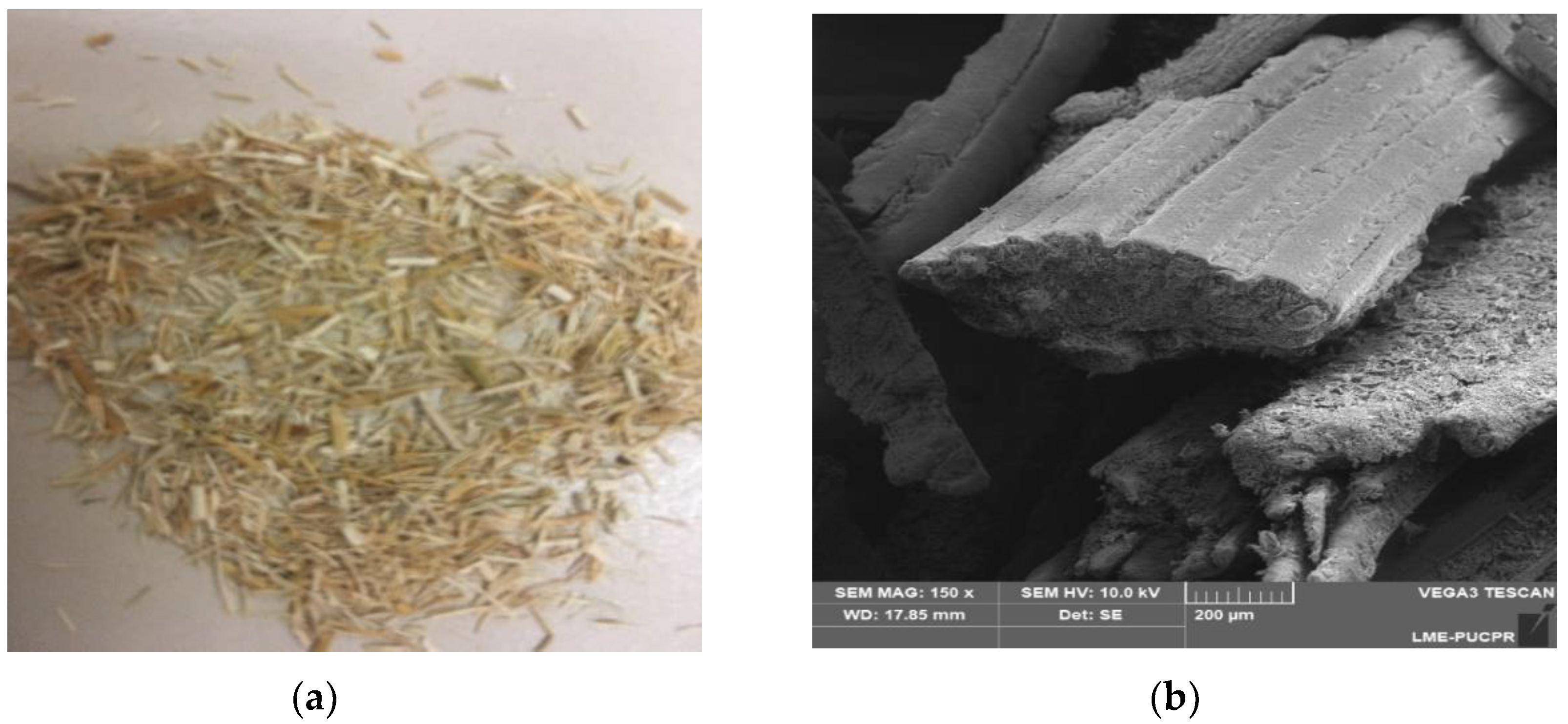 Materials 16 01891 g001