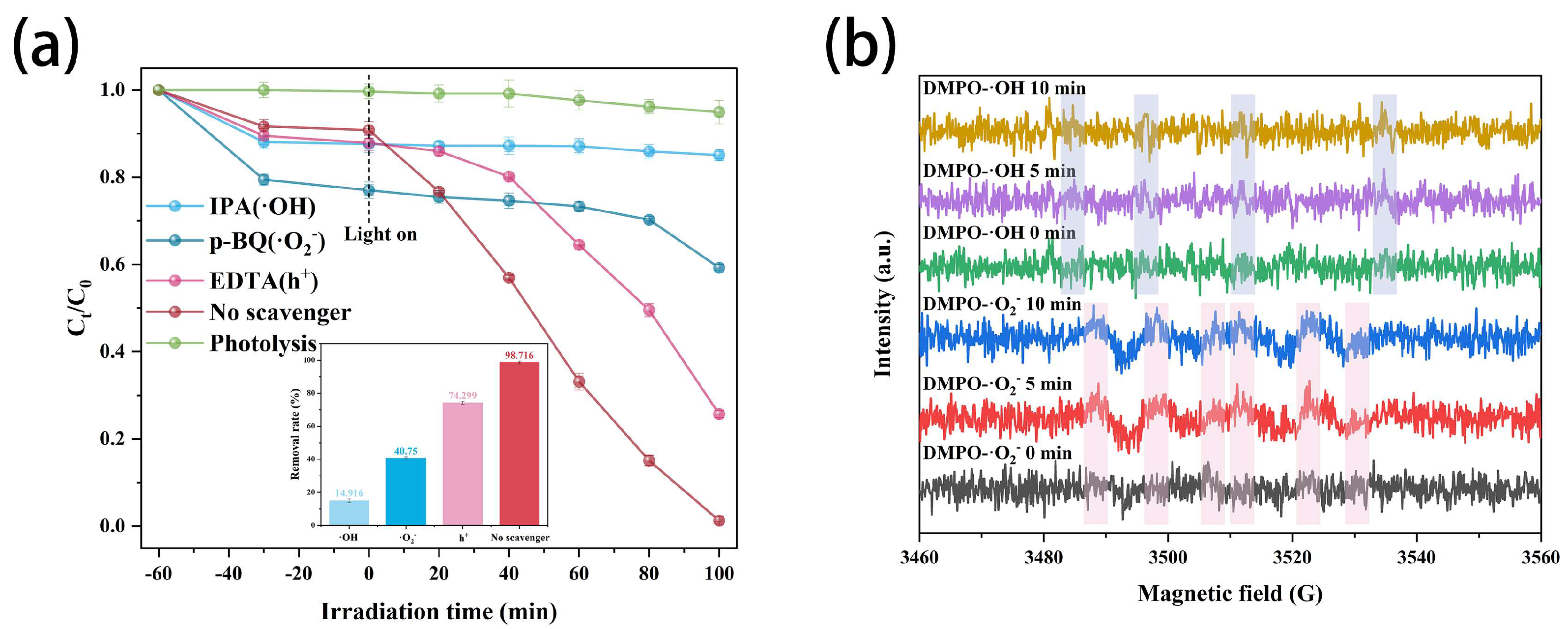 Materials 16 01896 g011 550