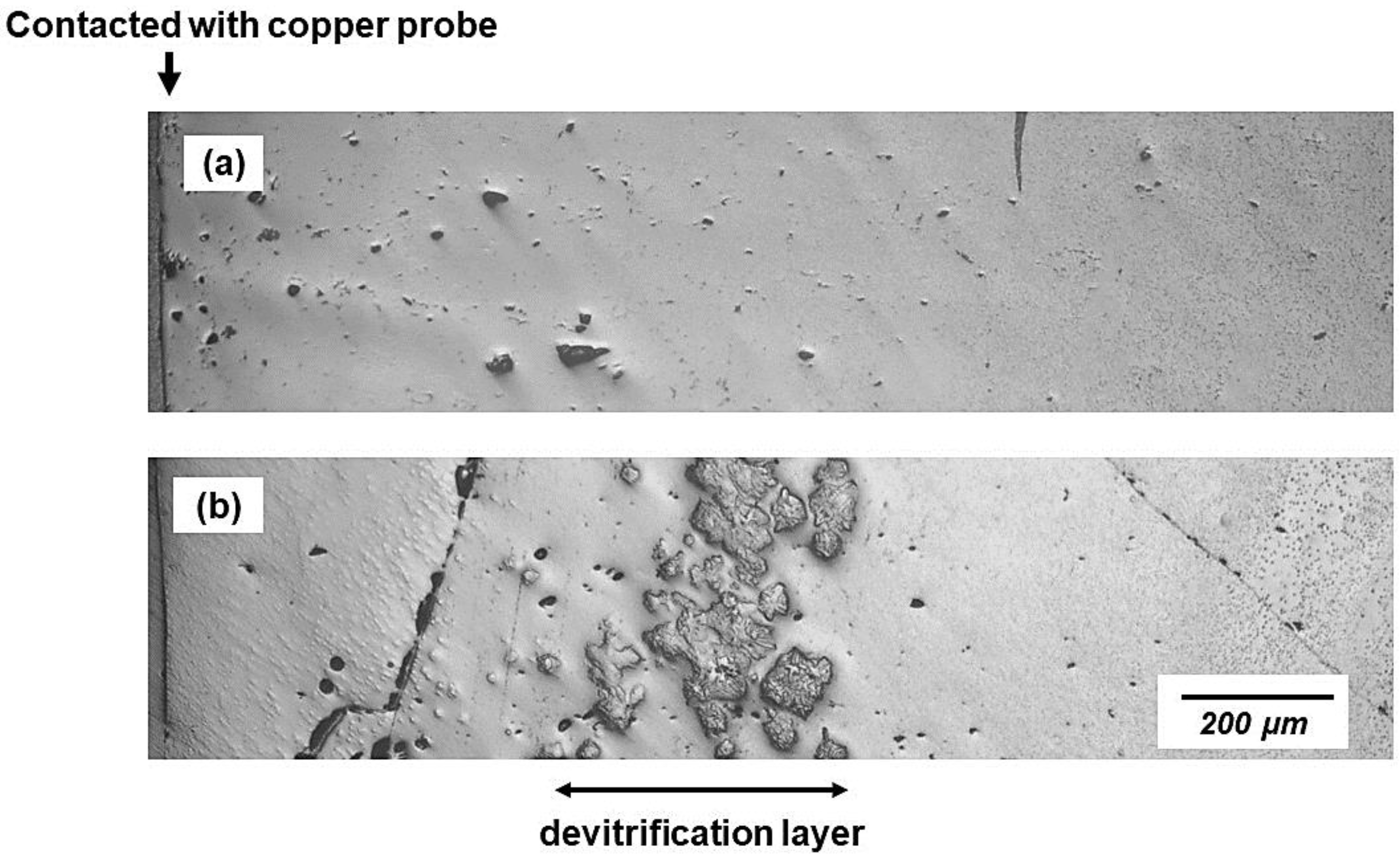 Materials 16 01903 g002 Materials 16 01903 g002