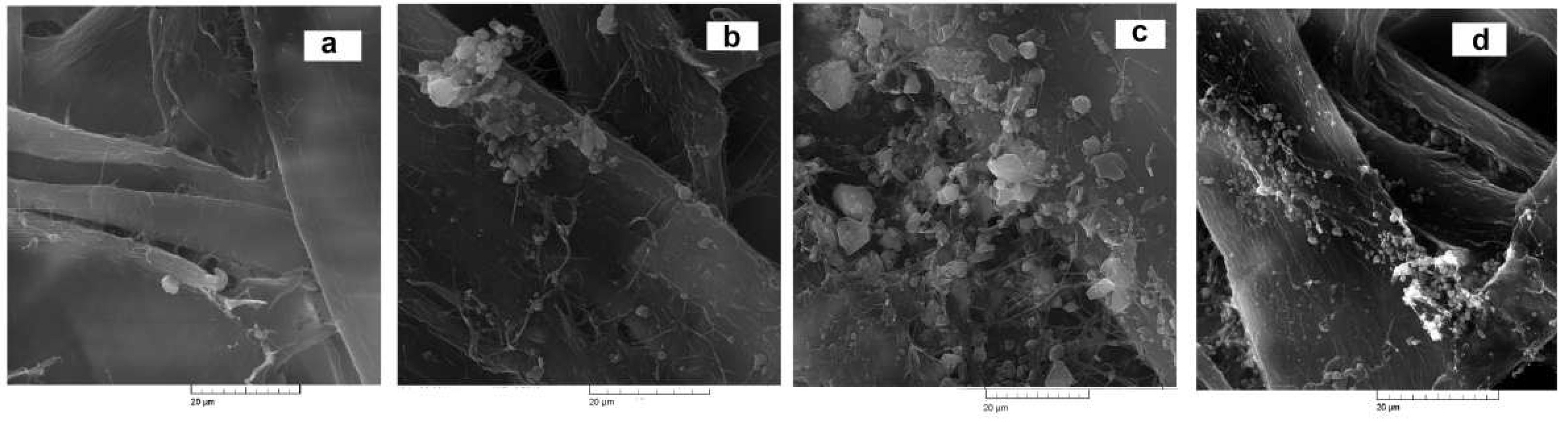 Materials 16 01904 g005 Materials 16 01904 g005
