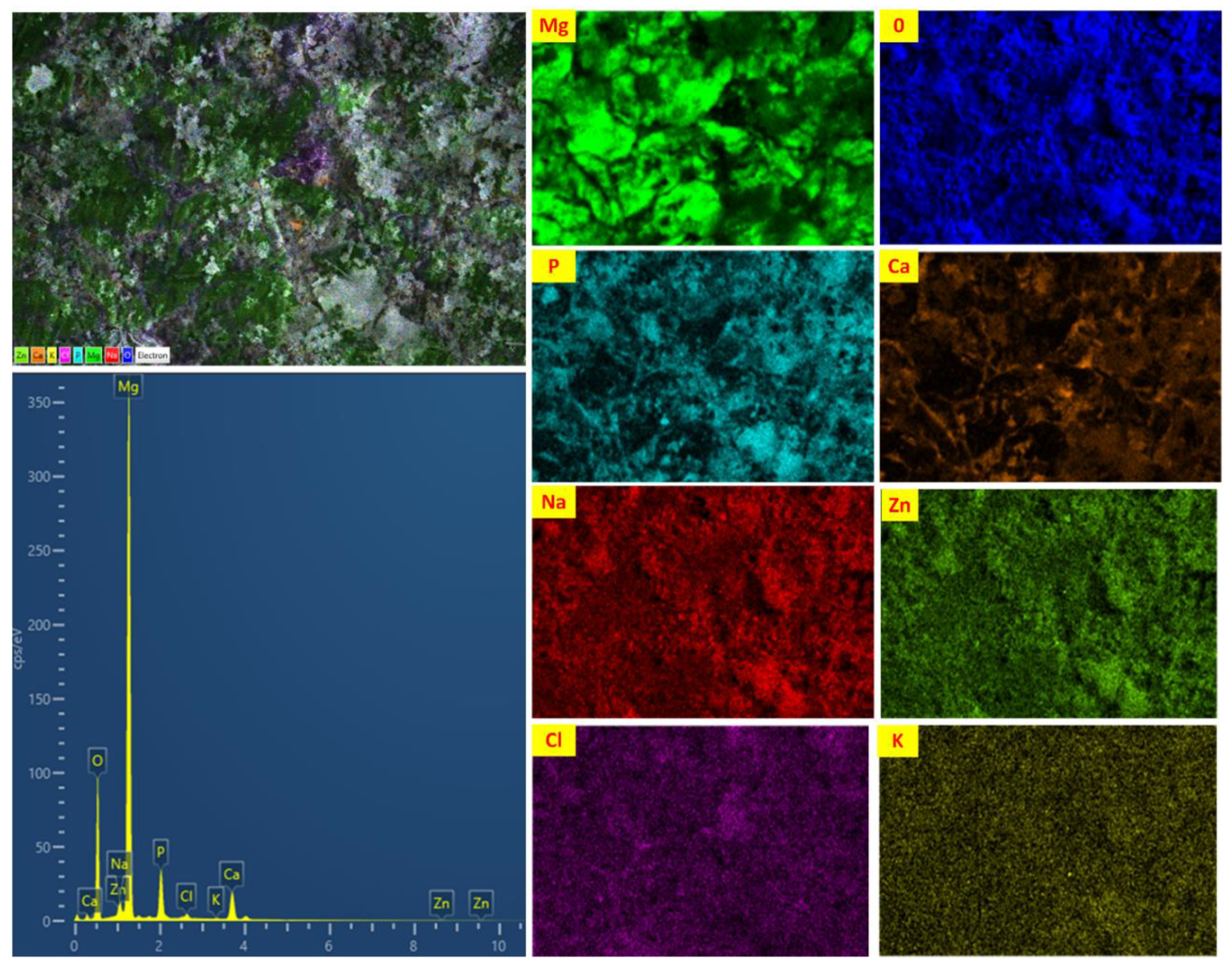 Materials 16 01905 g012