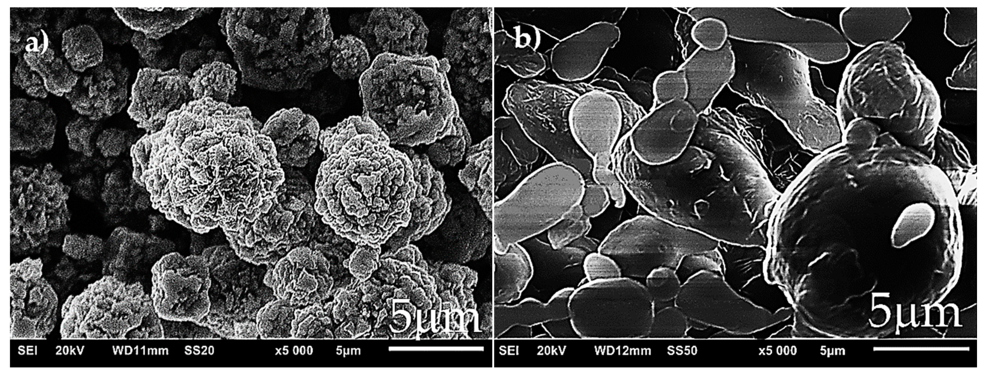 Materials 16 01907 g001