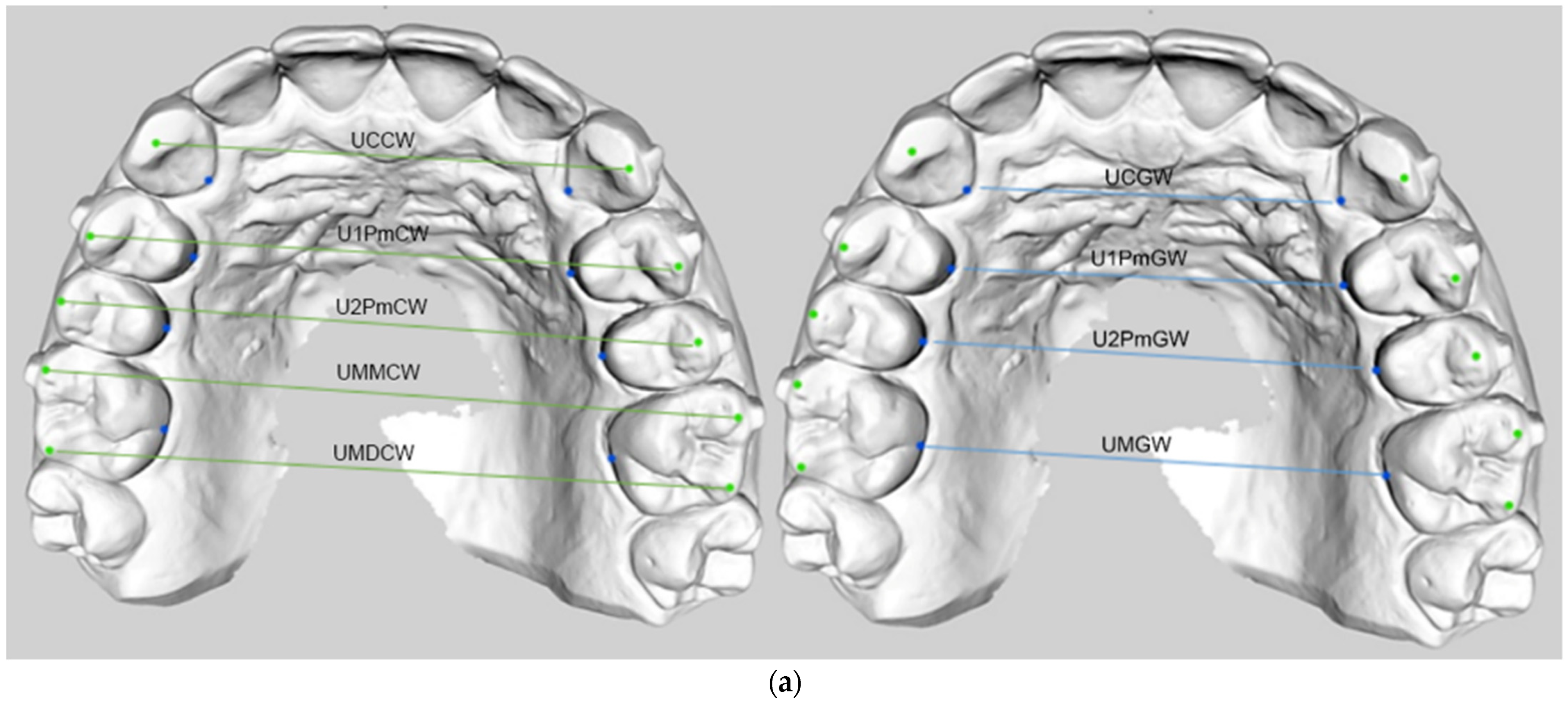 Materials 16 01910 g003a Materials 16 01910 g003a
