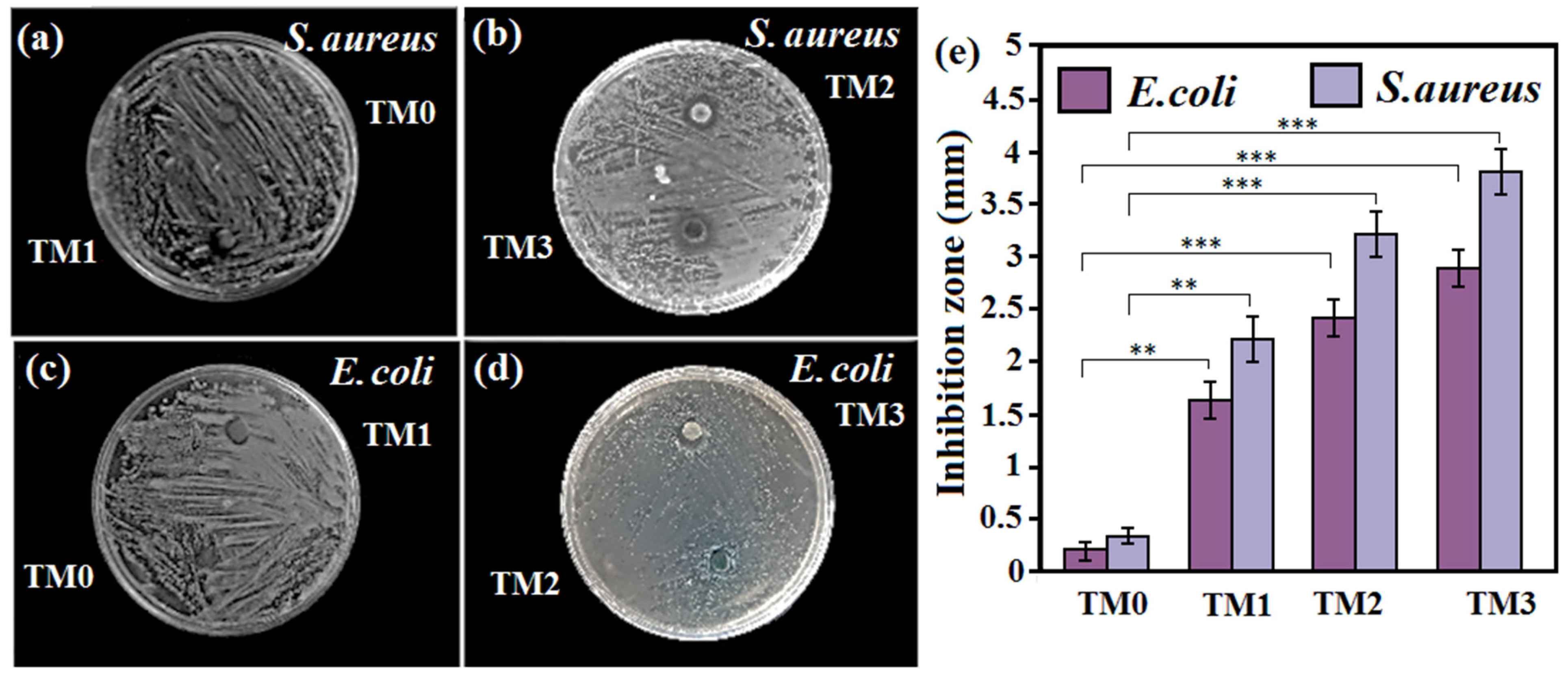 Materials 16 01919 g011 Materials 16 01919 g011