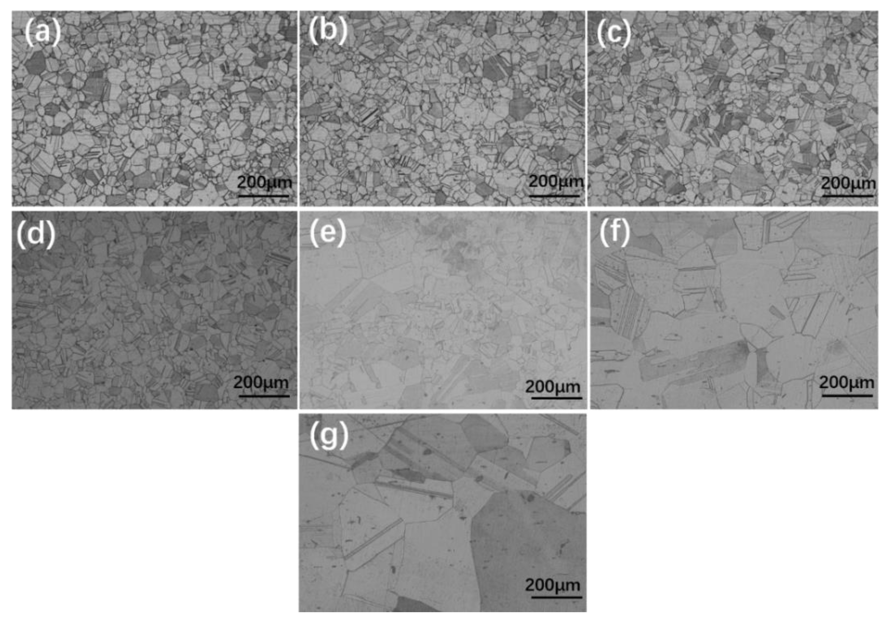 Materials 16 01927 g004 Materials 16 01927 g004