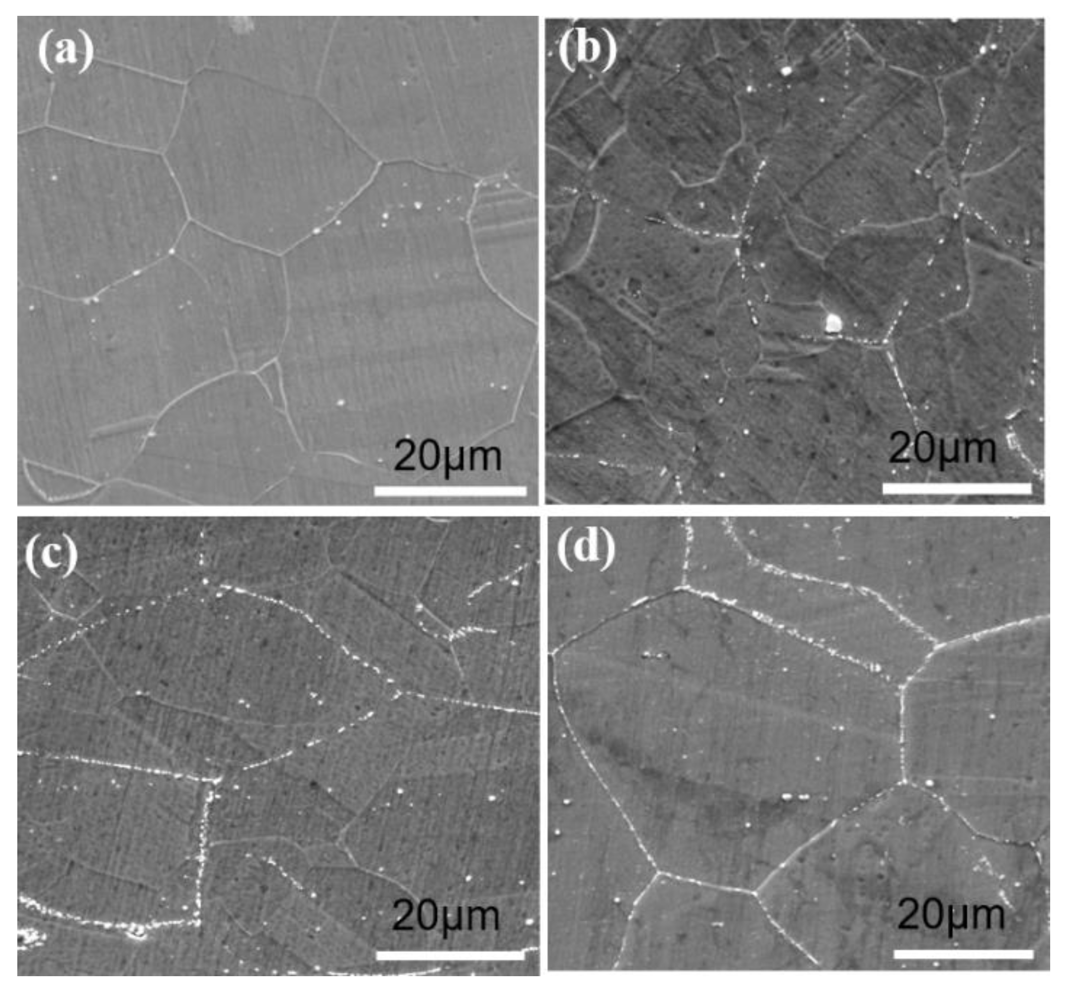 Materials 16 01927 g019 Materials 16 01927 g019