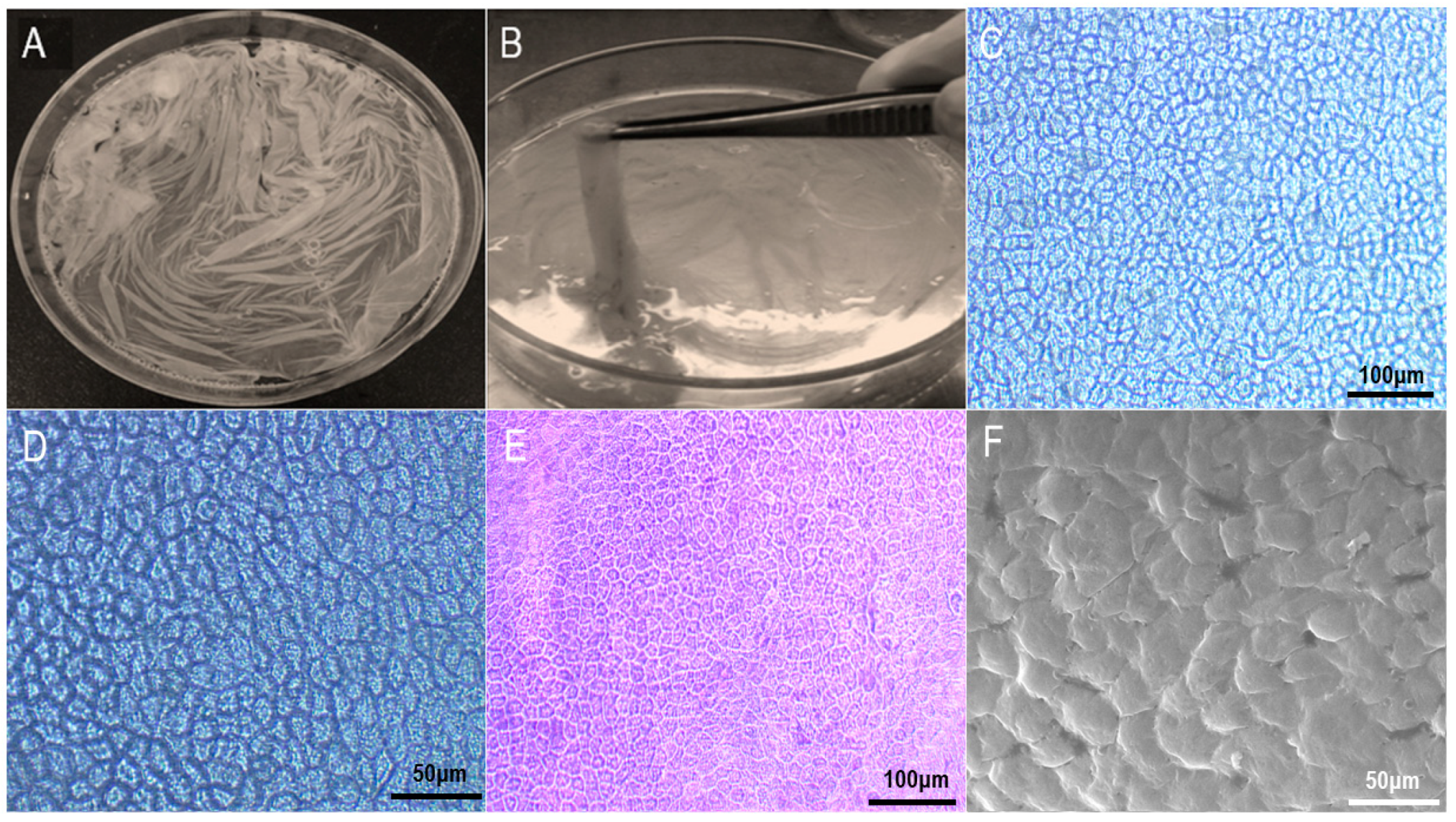 Materials 16 01937 g001