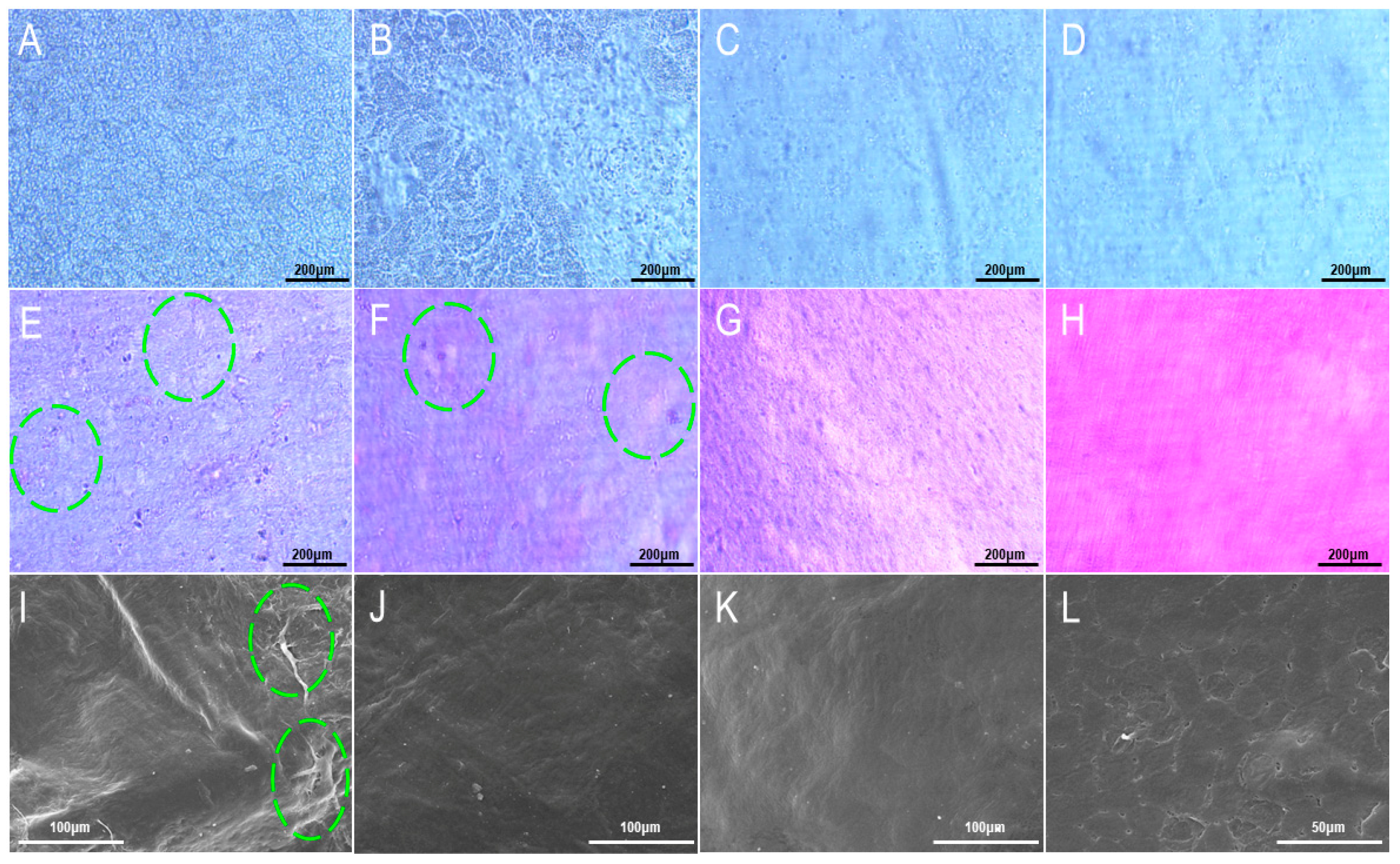 Materials 16 01937 g002