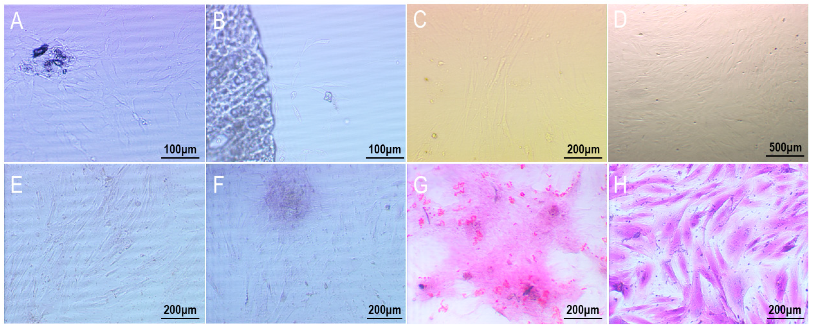 Materials 16 01937 g006