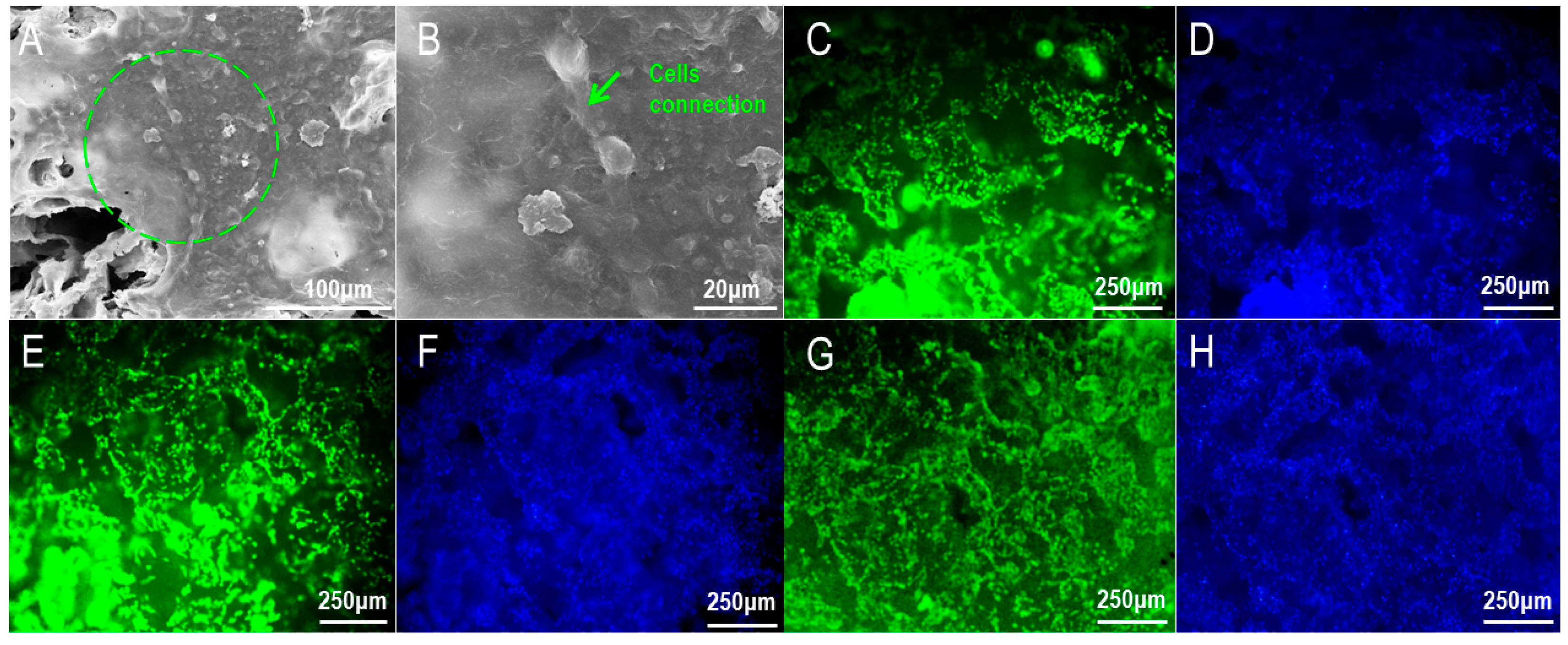 Materials 16 01937 g007