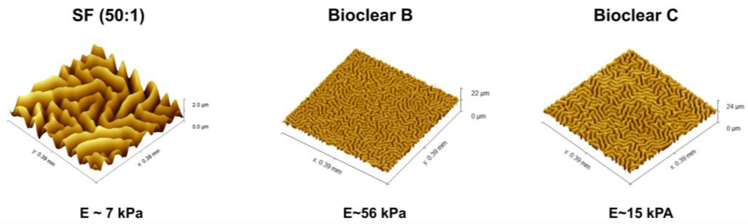 Materials 16 01938 g004 Materials 16 01938 g004