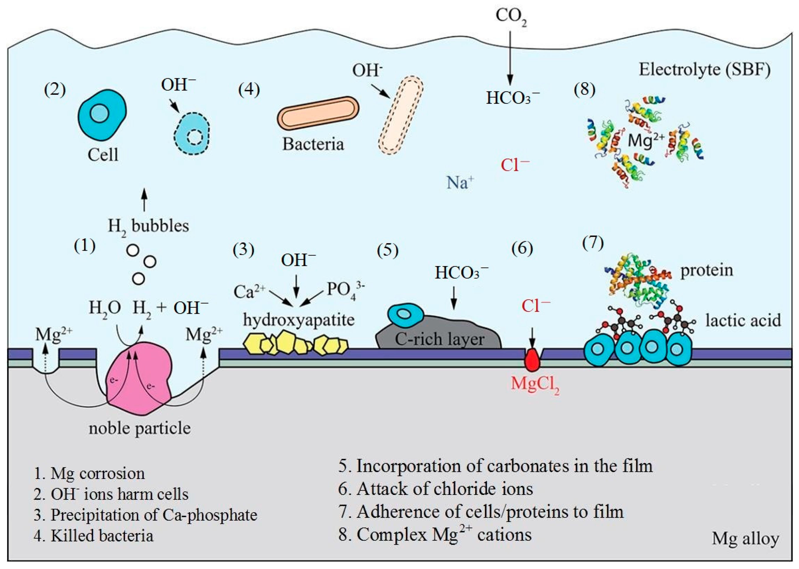 Materials 16 01939 g002