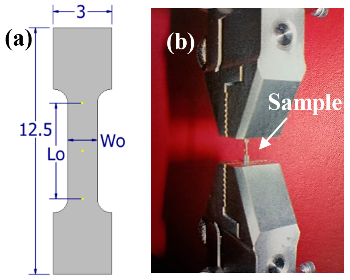Materials 16 01943 g001
