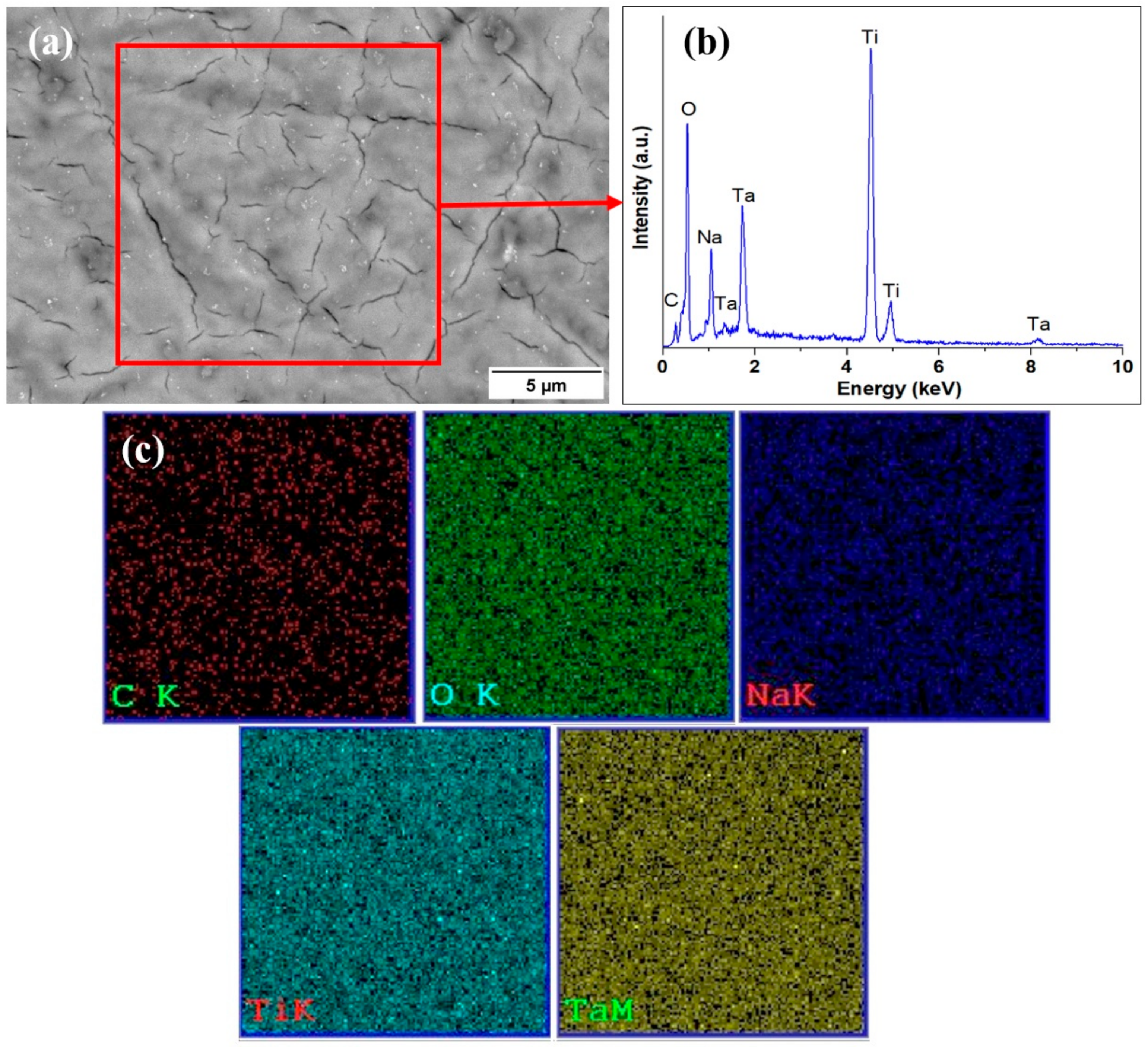 Materials 16 01943 g007