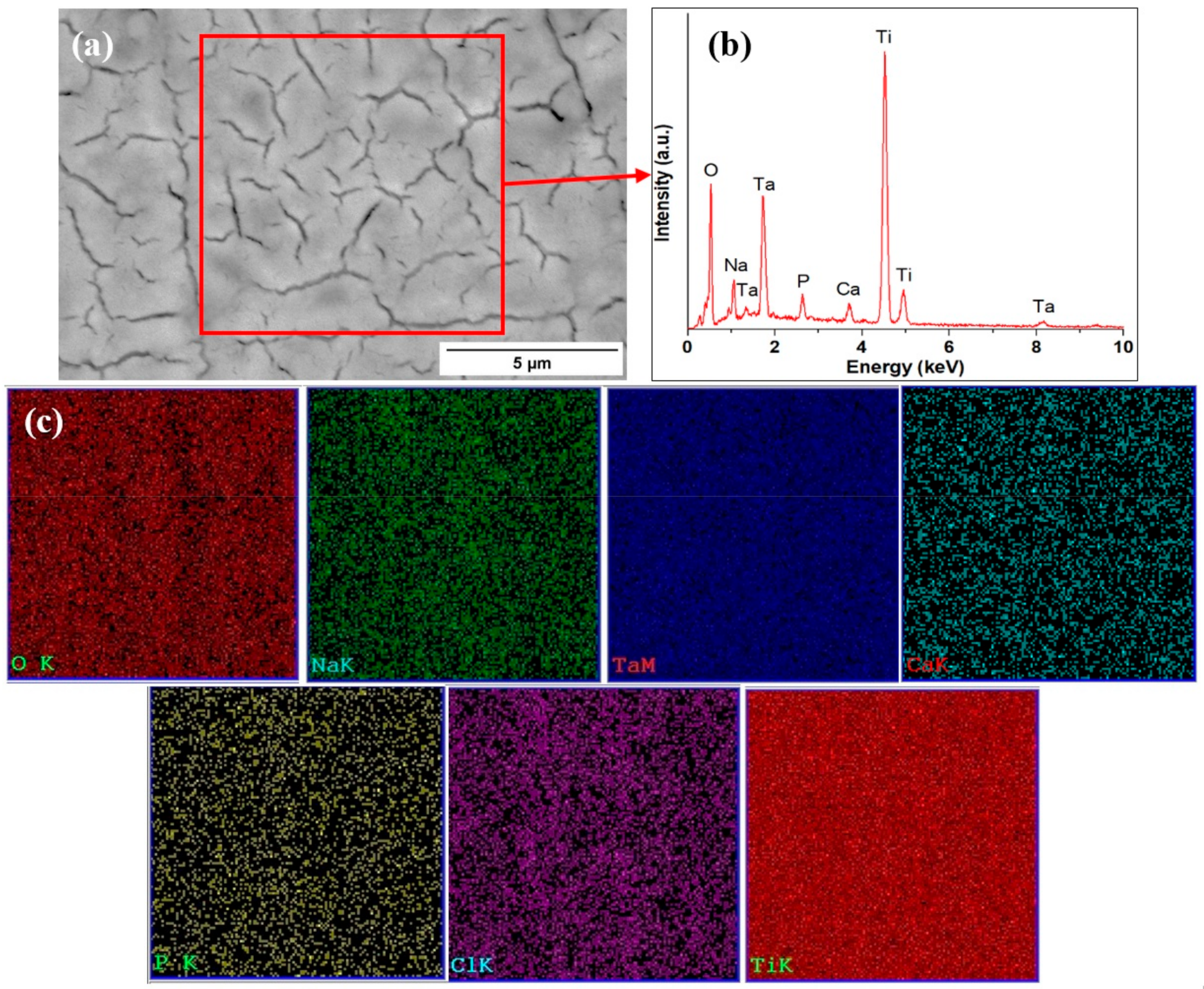 Materials 16 01943 g008