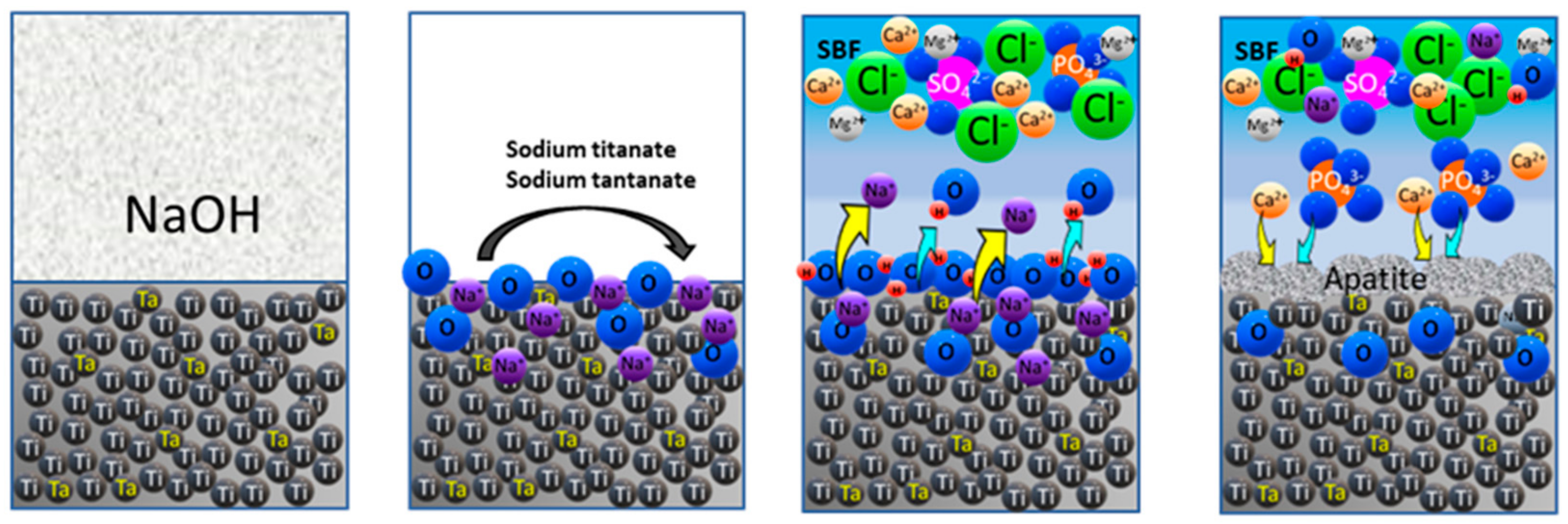 Materials 16 01943 g010