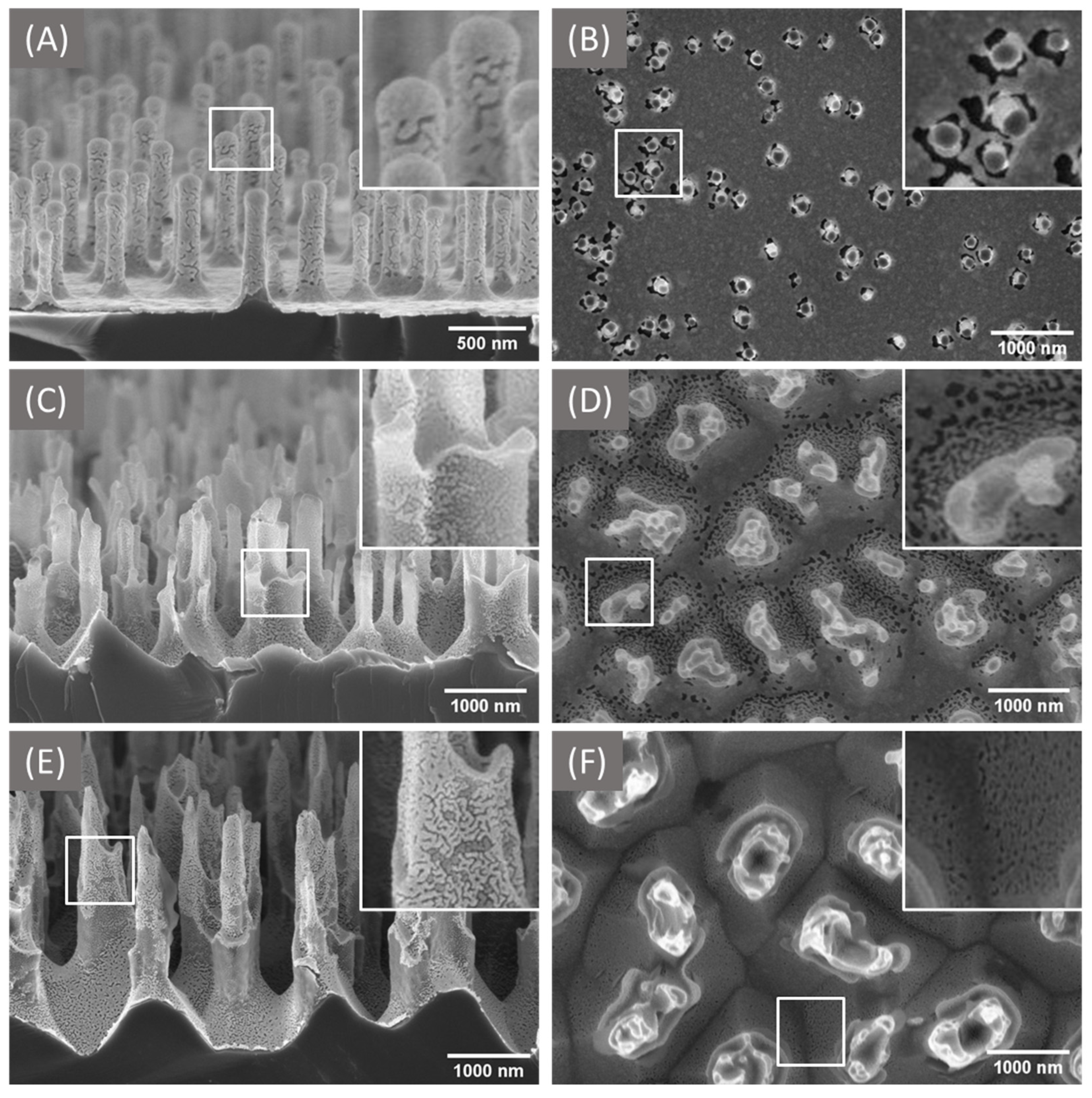 Materials 16 01948 g002
