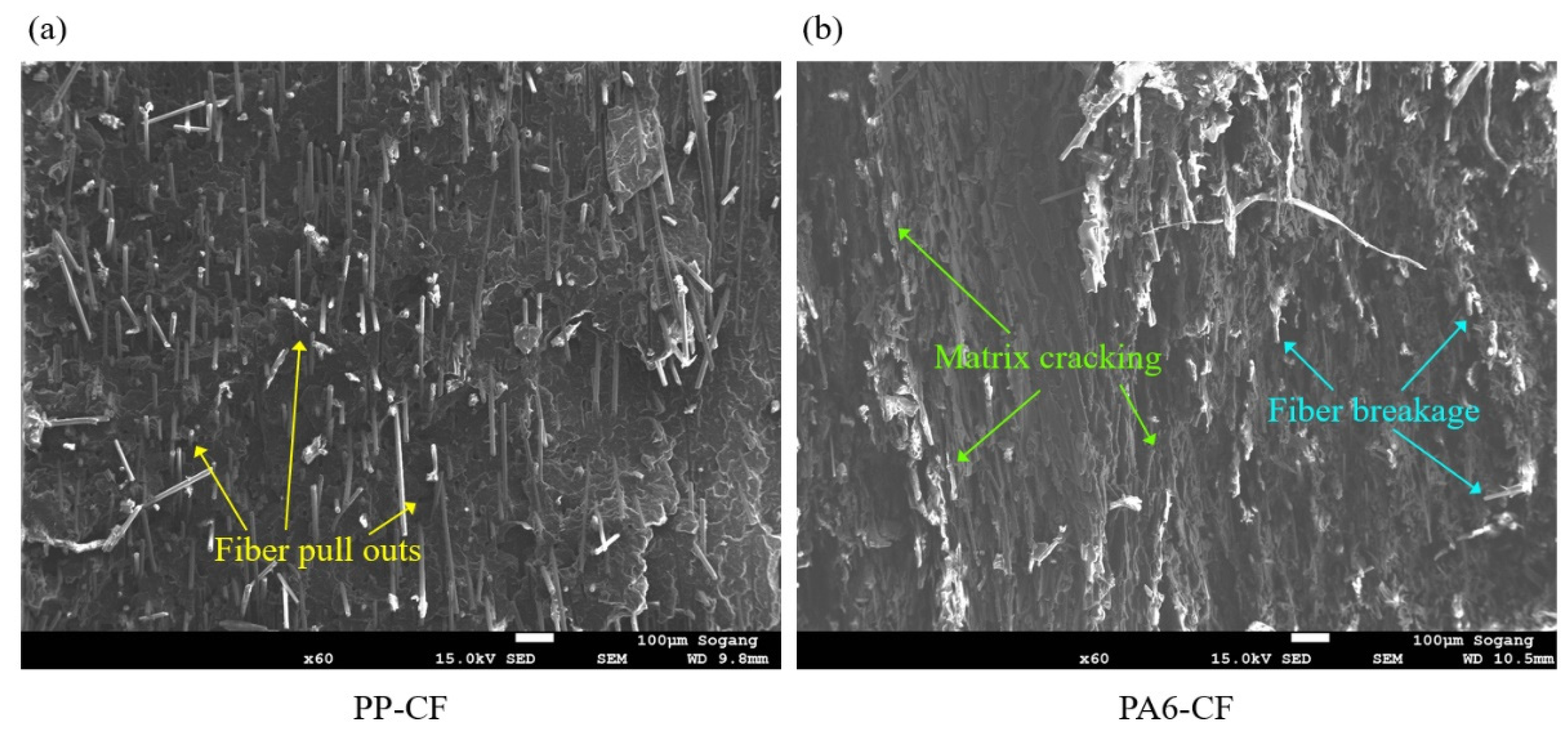 Materials 16 01952 g009 Materials 16 01952 g009