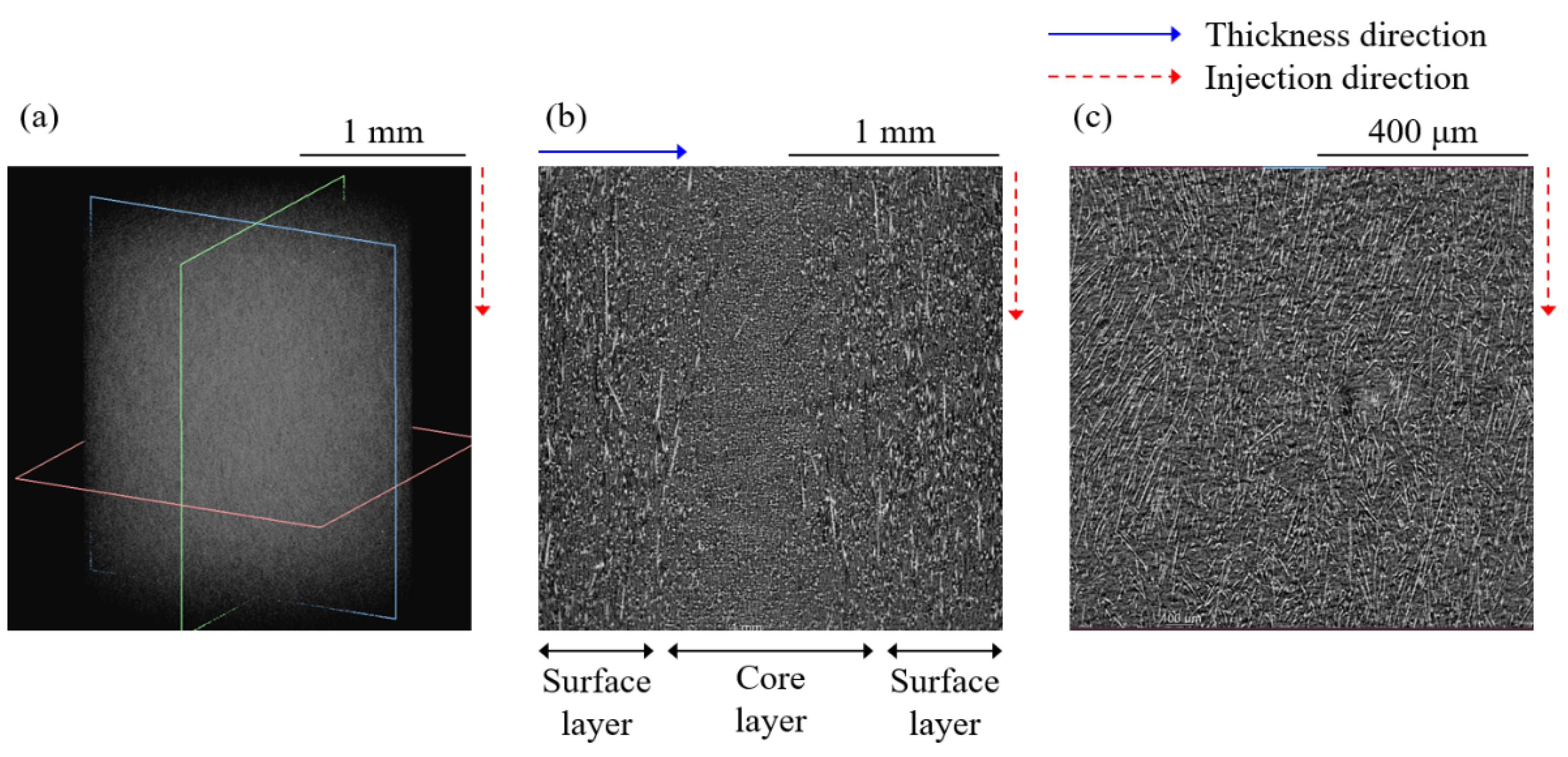 Materials 16 01952 g010 Materials 16 01952 g010