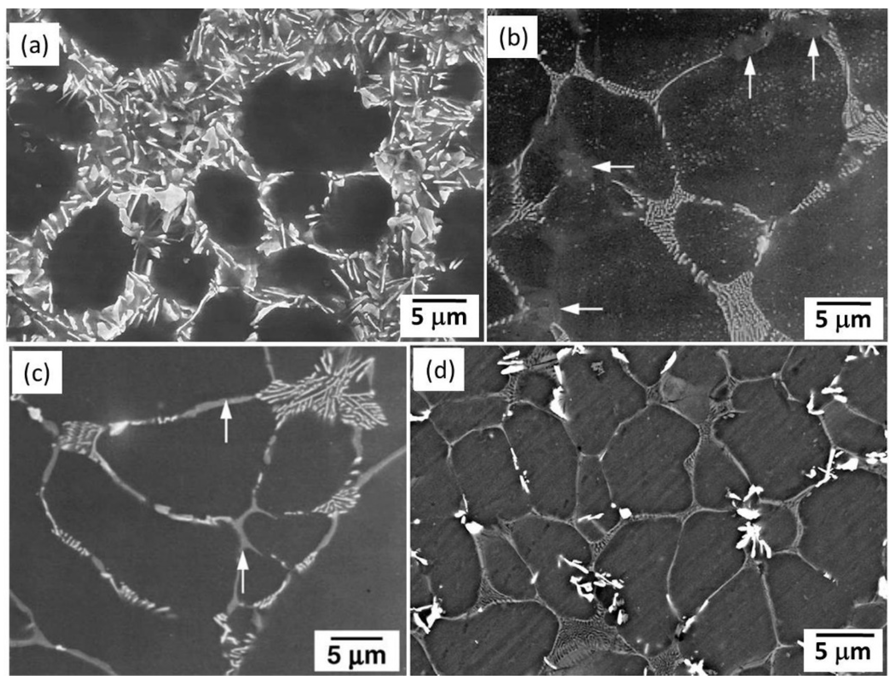 Materials 16 01954 g004 Materials 16 01954 g004