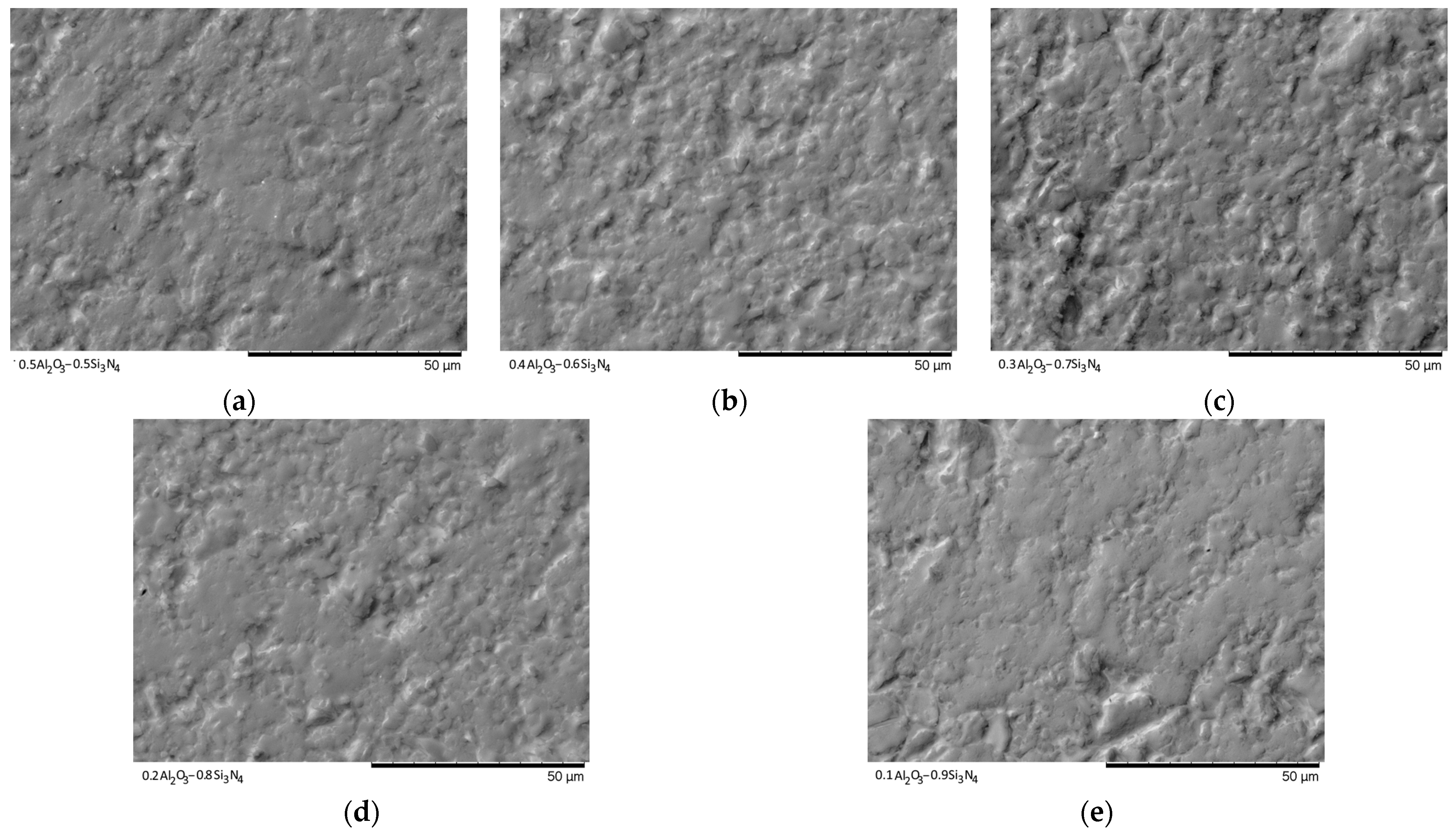 Materials 16 01961 g010