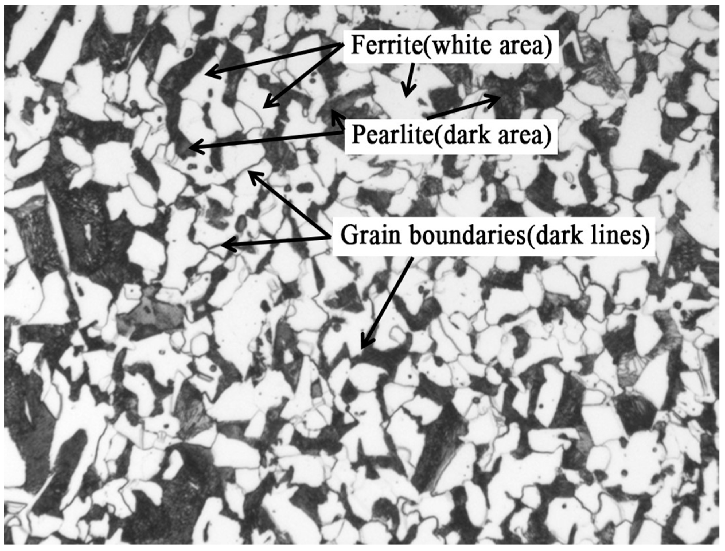 Microstructure of the ASTM A 36 steel samples: (a) sample