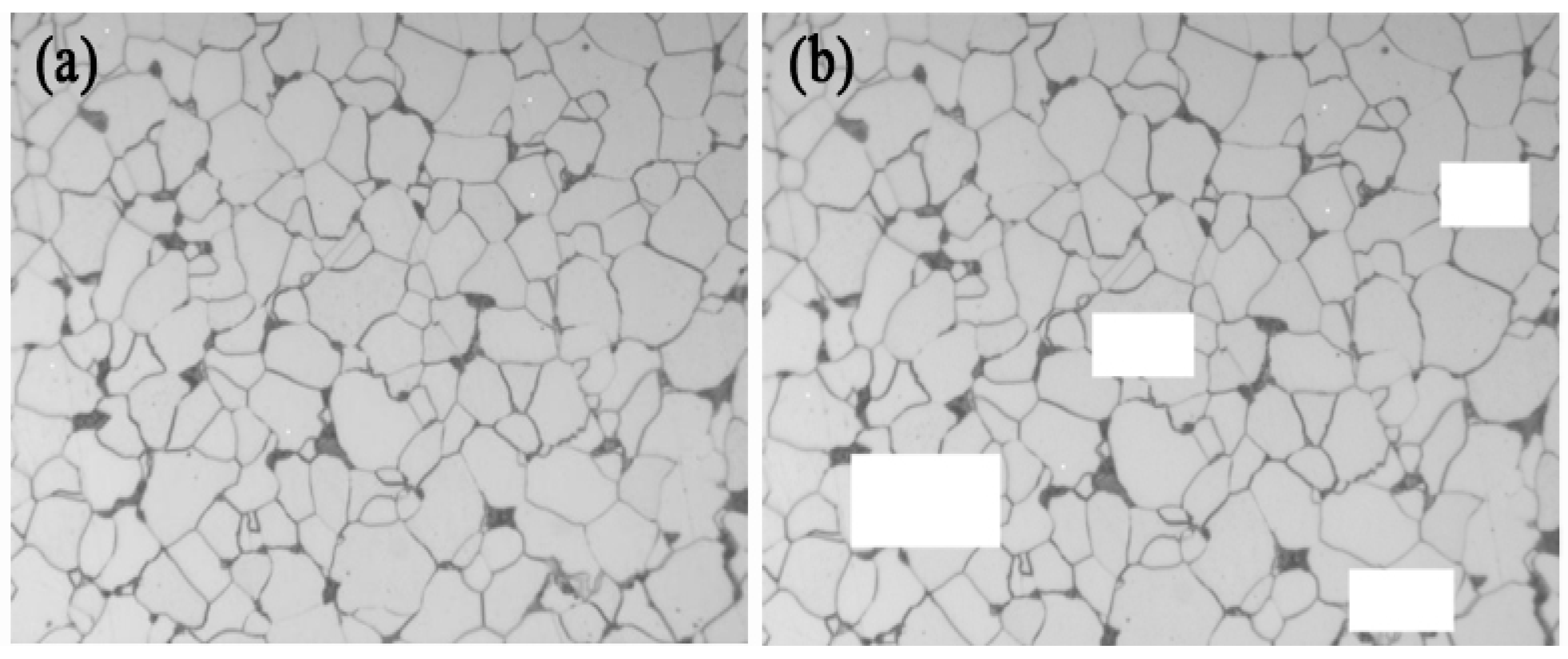Materials 16 01974 g005