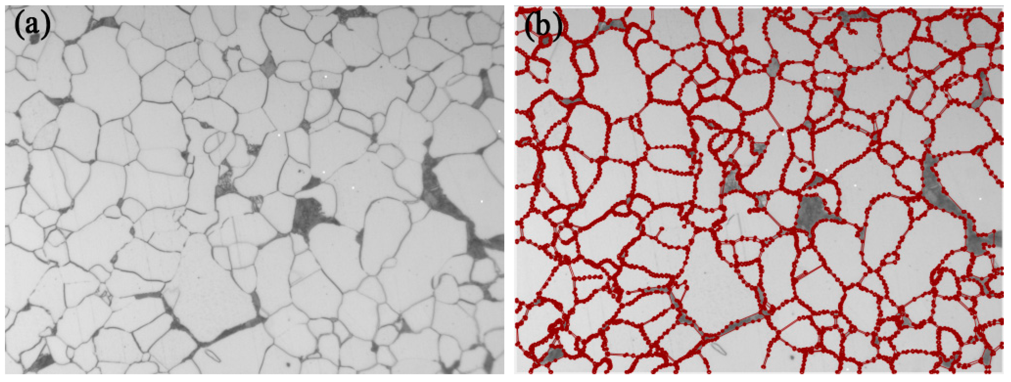 Materials 16 01974 g006