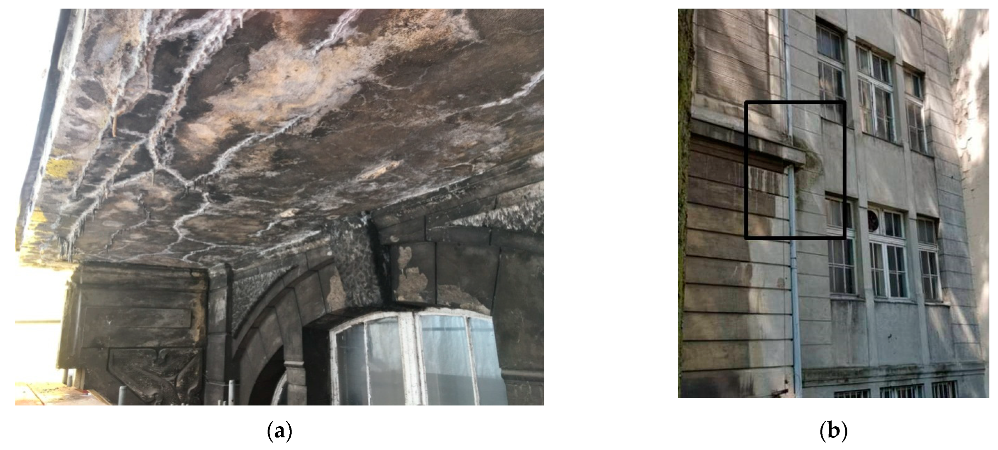 Materials 16 01983 g006 550