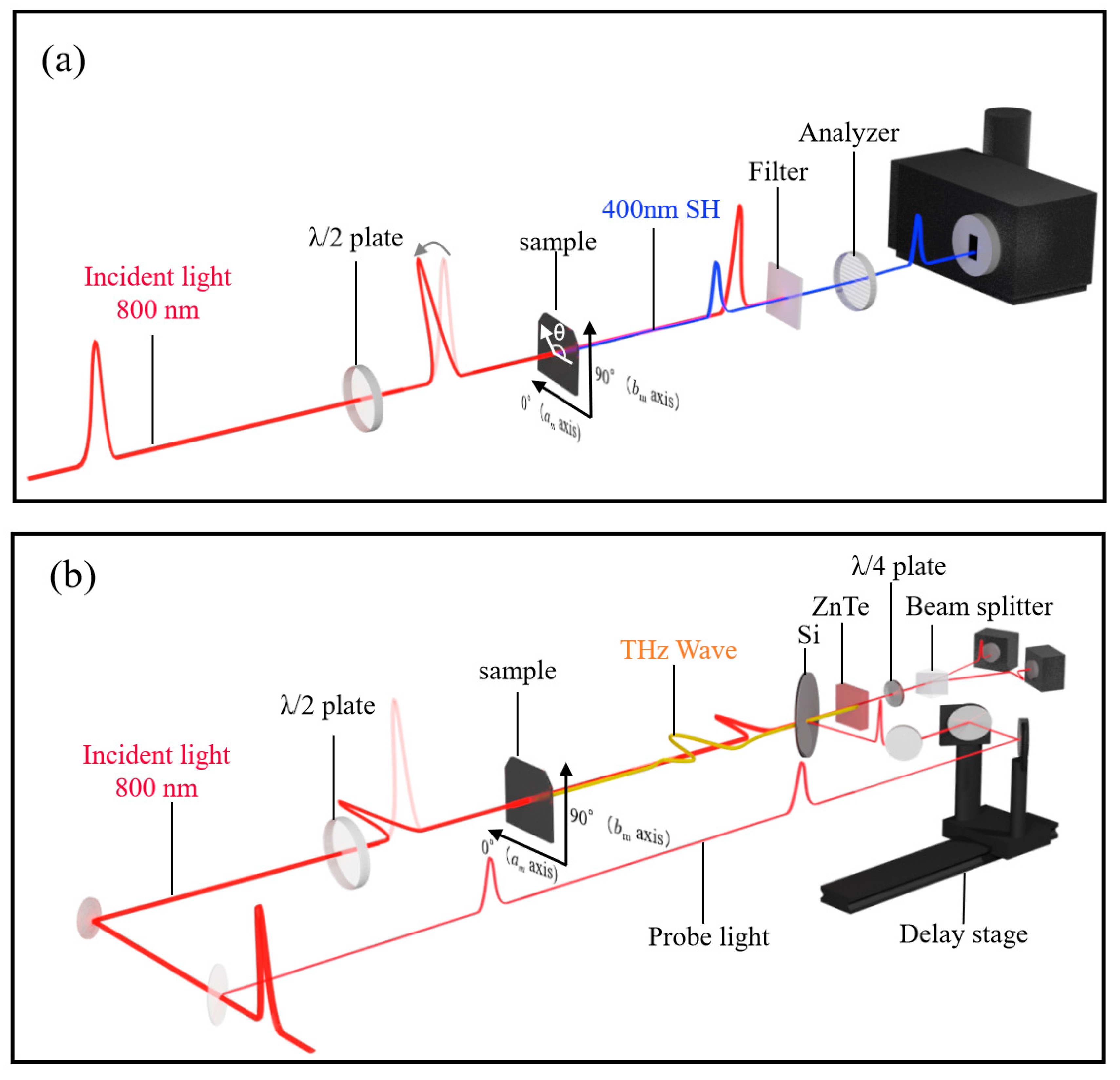 Nonlinear Optical Properties in an Epitaxial YbFe2O4 Film
