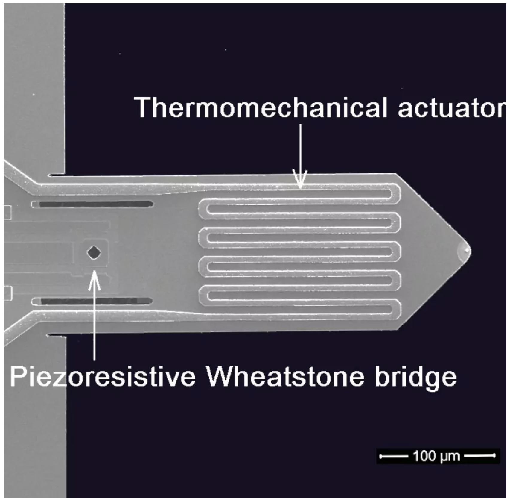 Materials 16 01991 g003