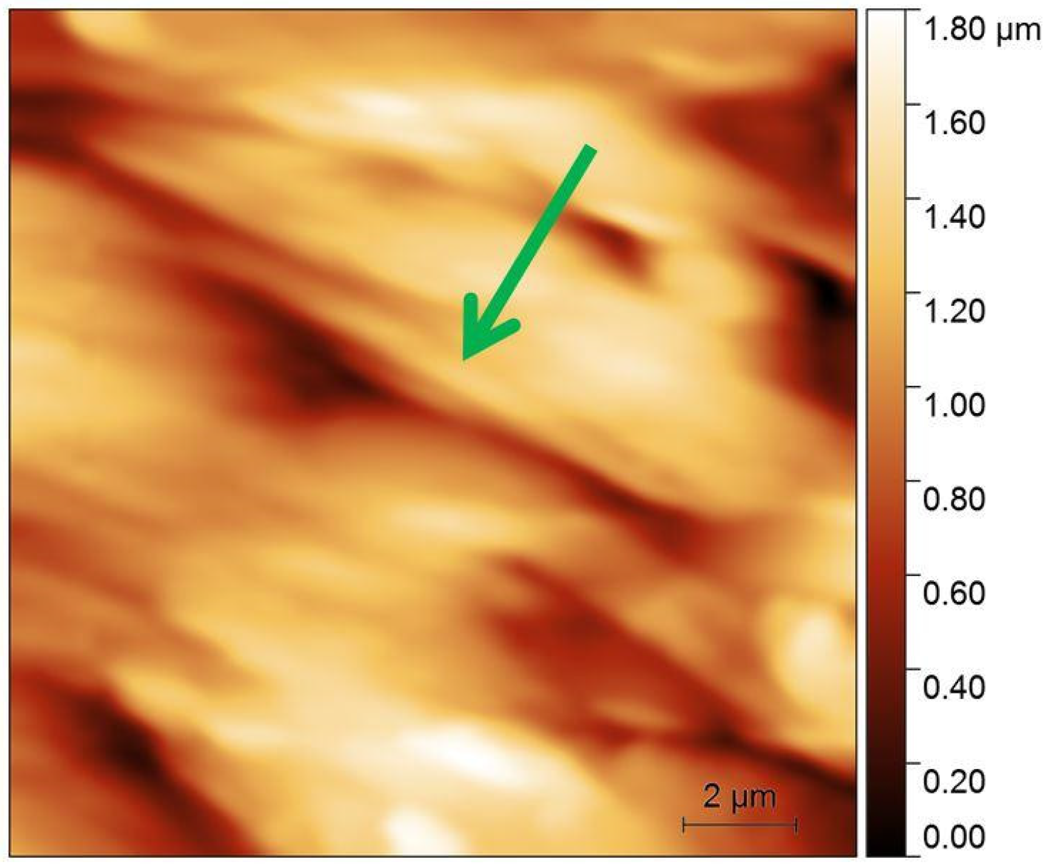 Materials 16 01991 g007