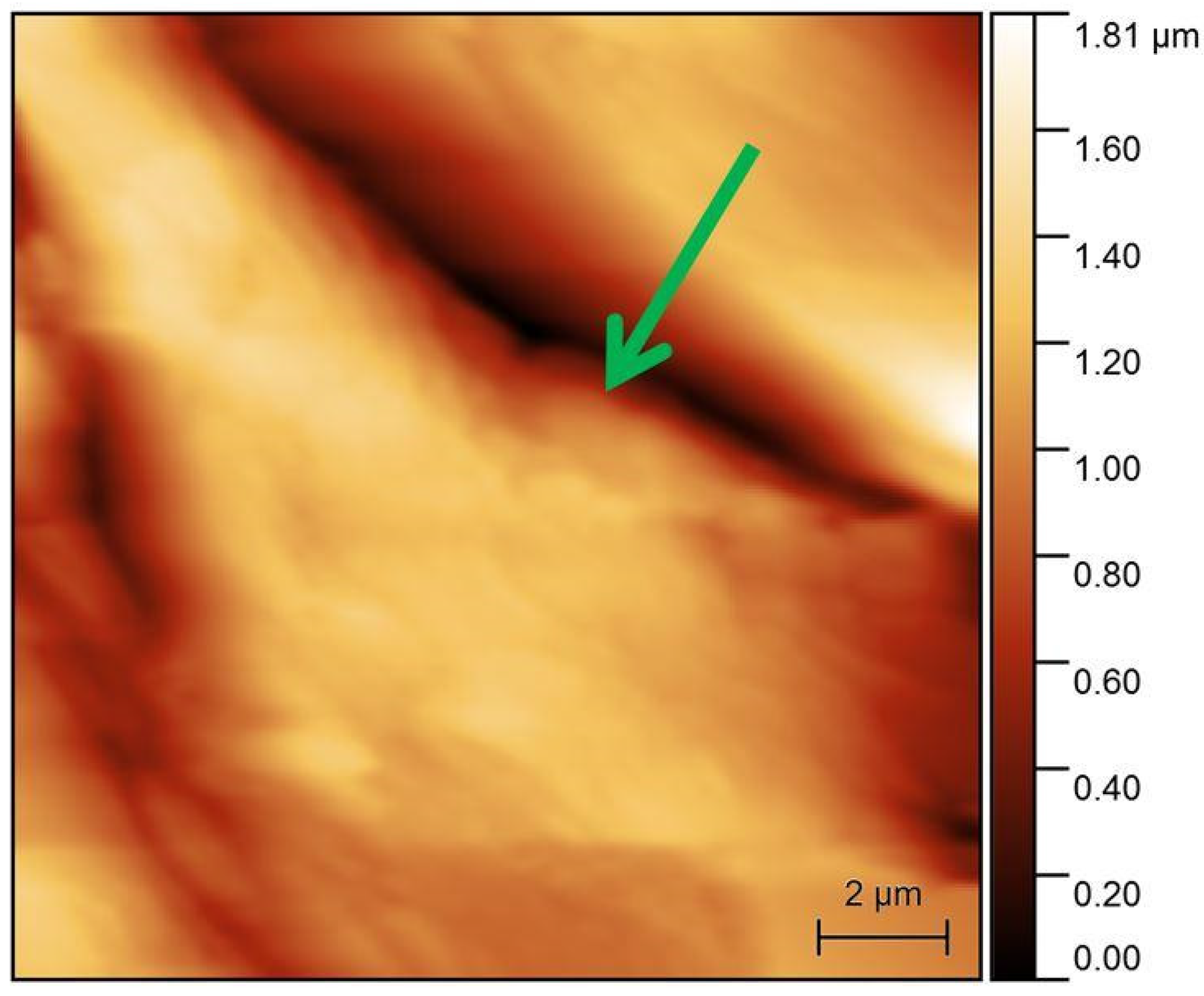 Materials 16 01991 g008
